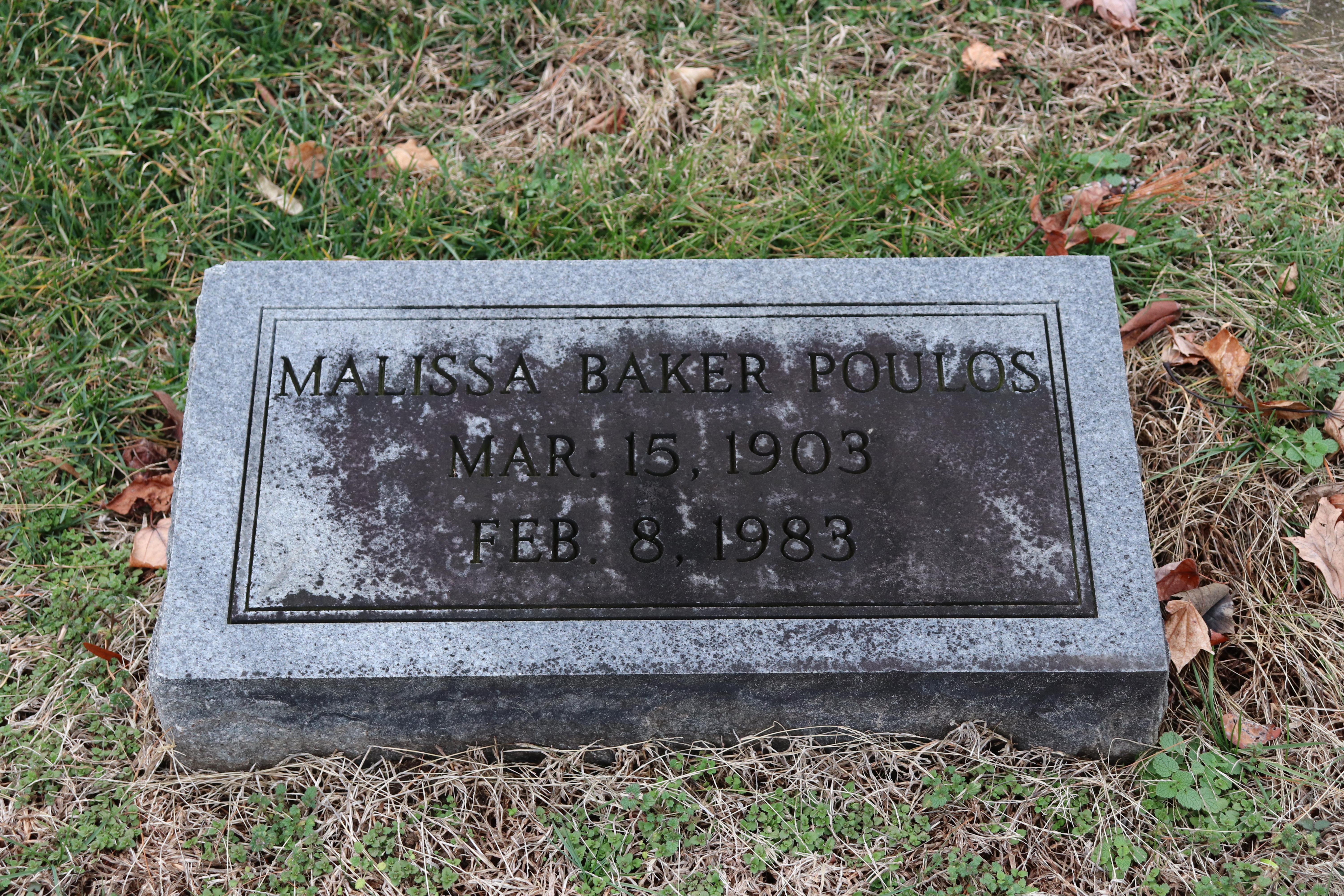 Photographed 15 January 2020.