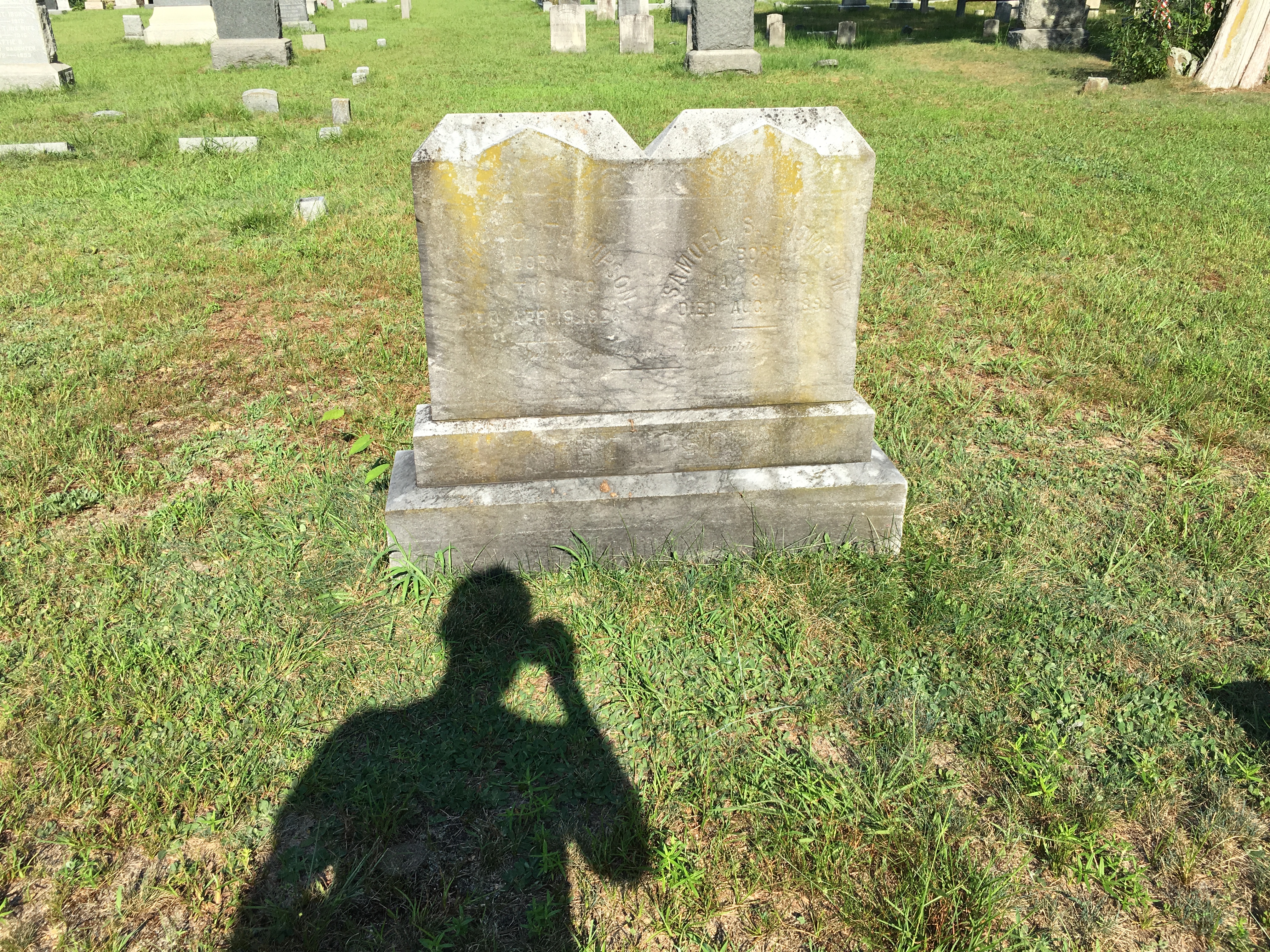 Photographed 16 August 2016.