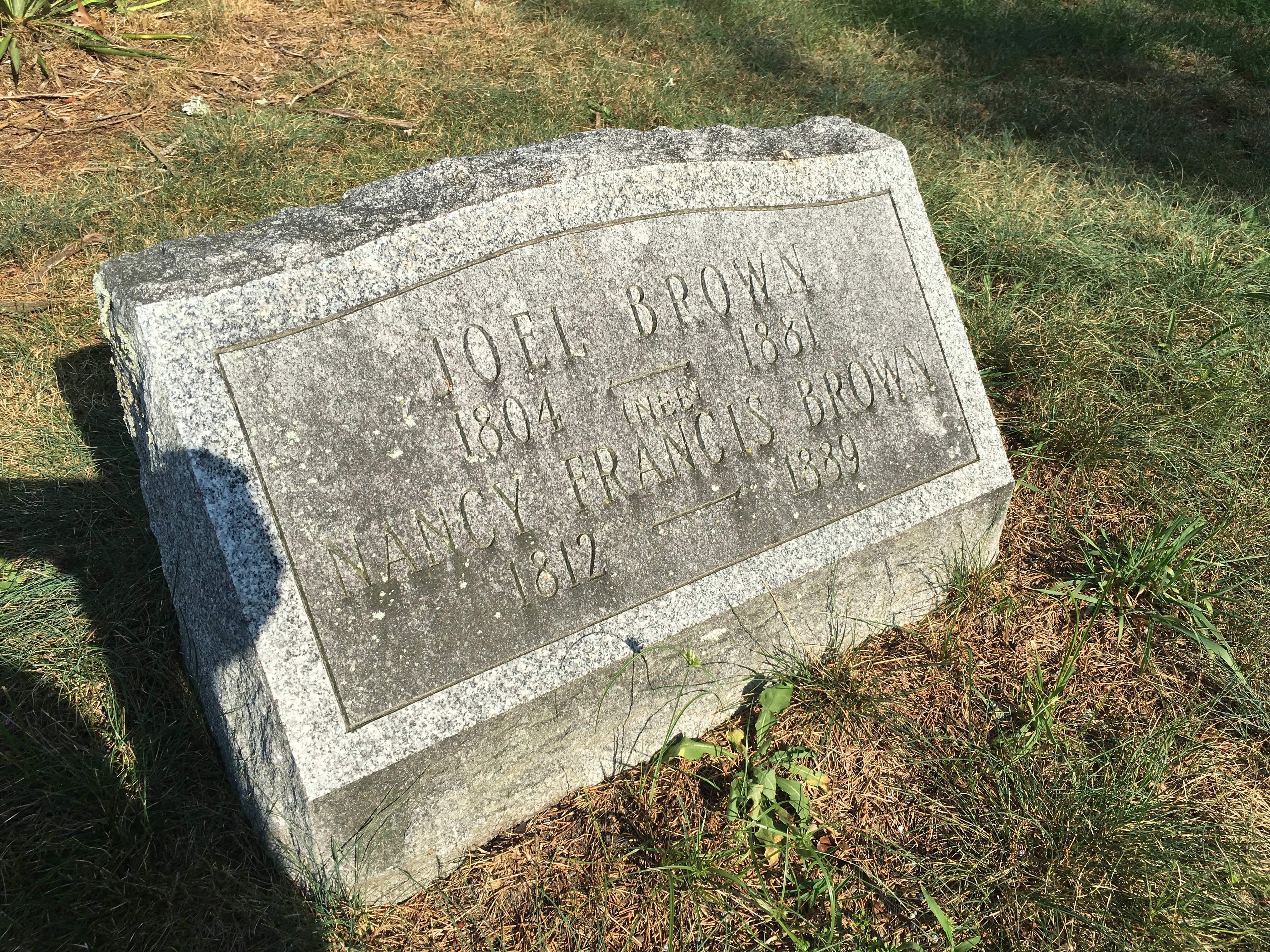 Photographed 16 August 2016.