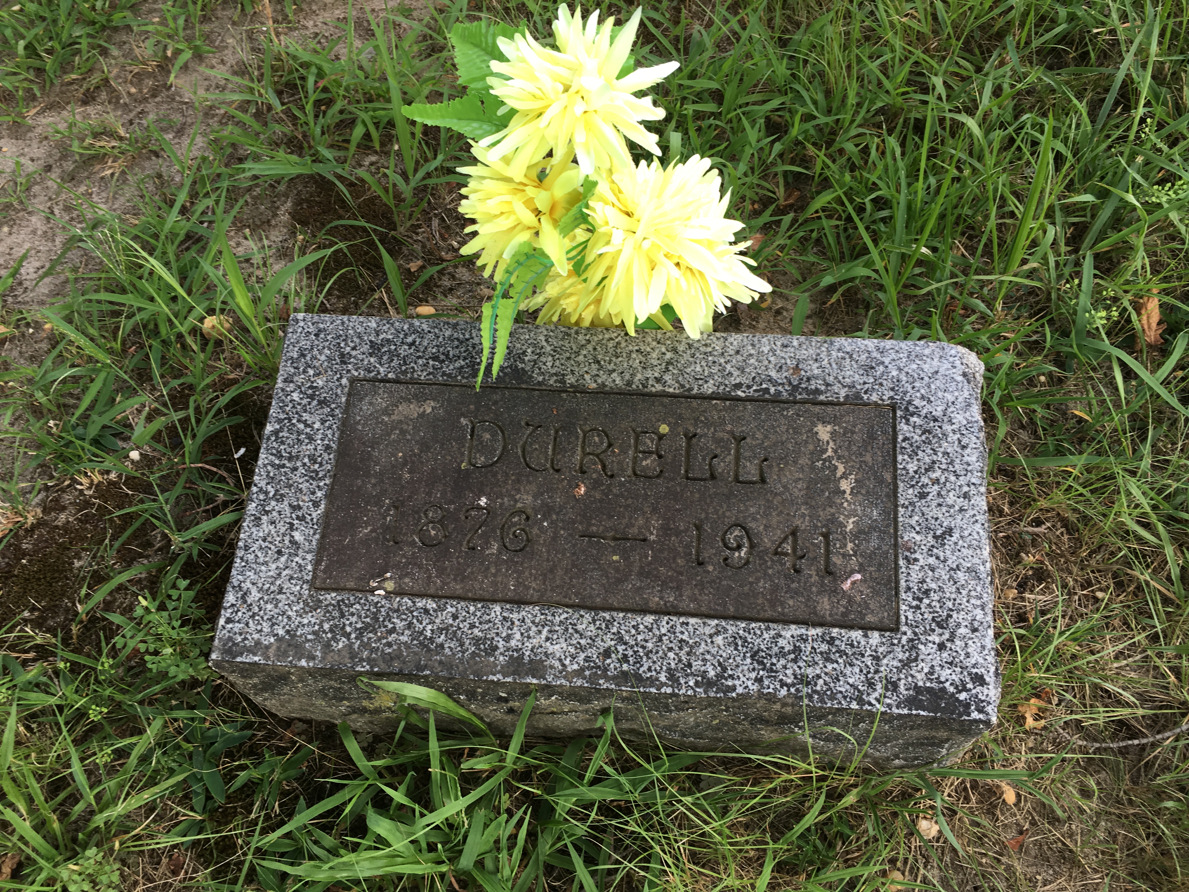 Photographed 16 August 2016.