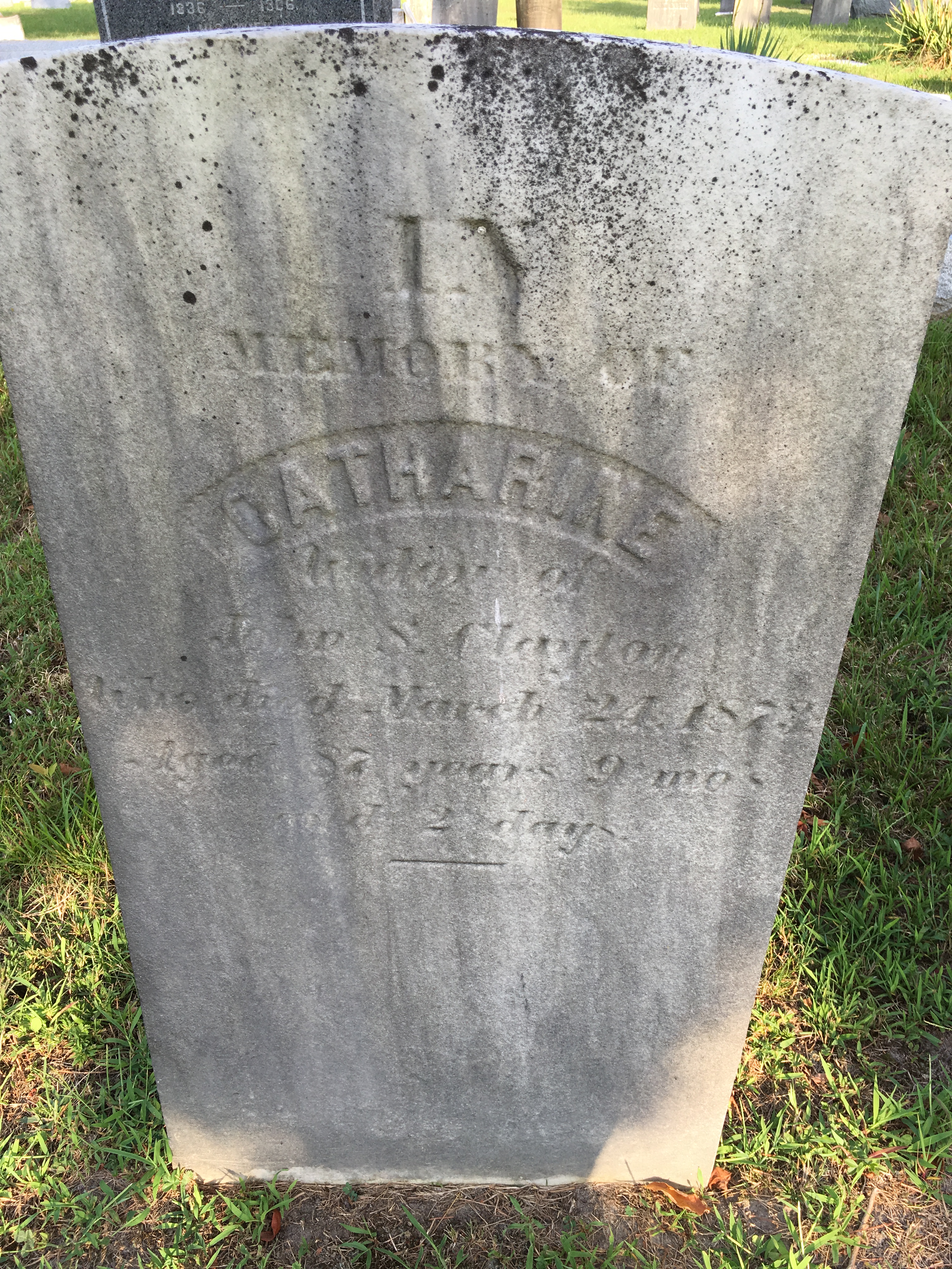 Photographed 16 August 2016.