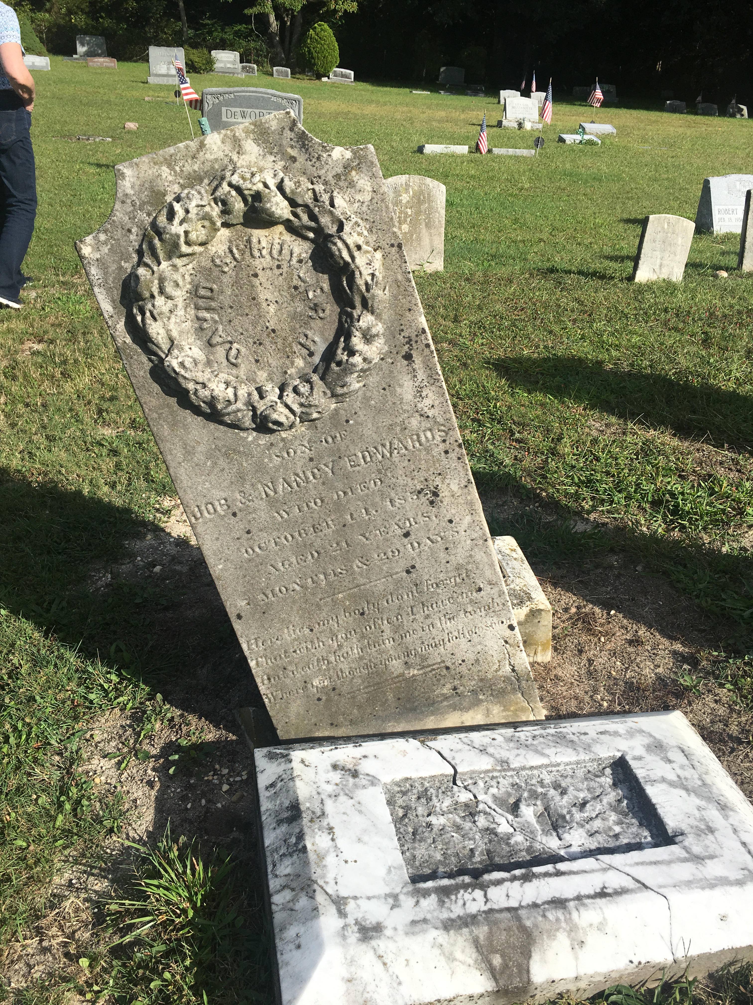 Photographed 09 September 2017.