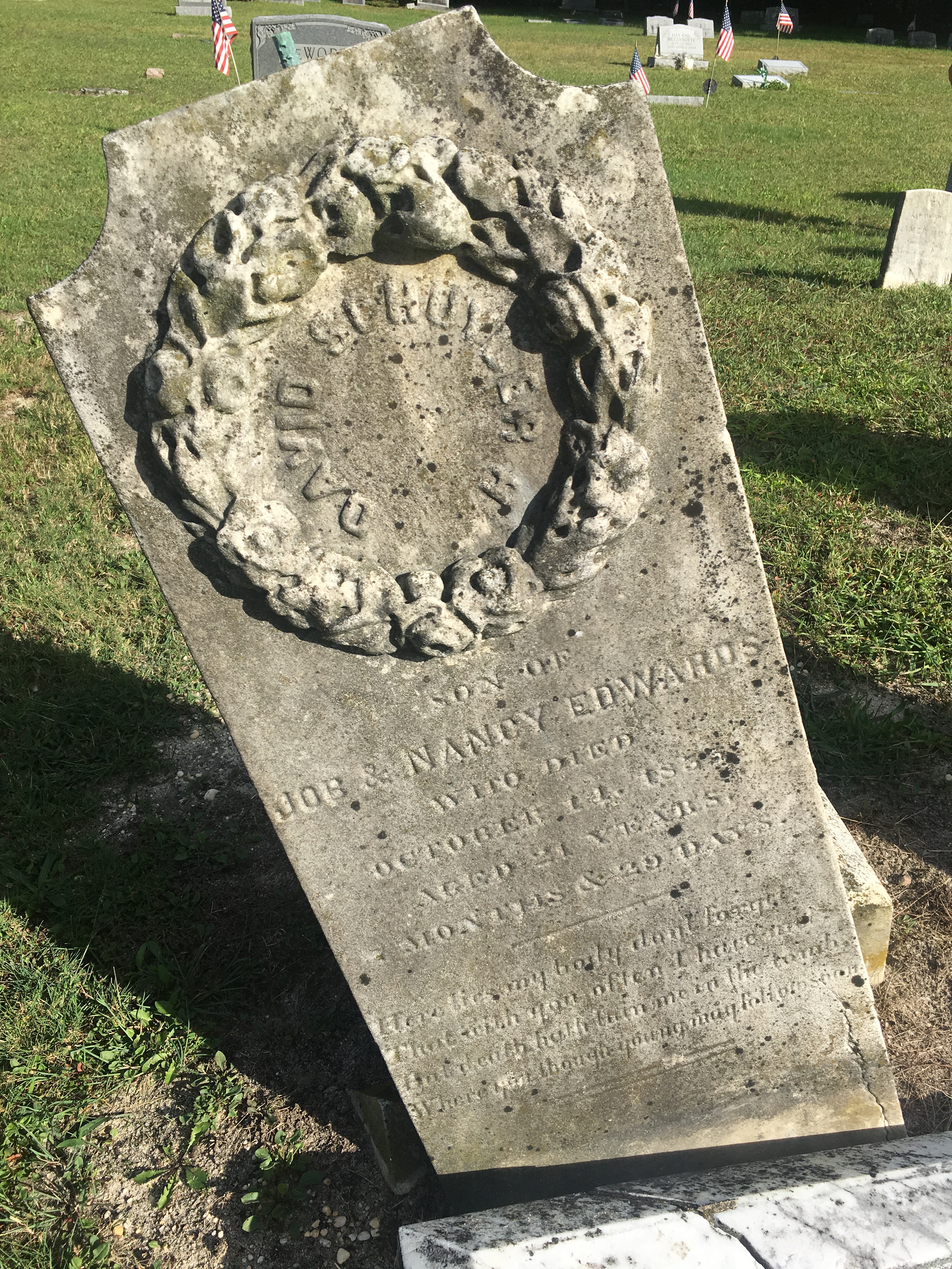 Photographed 09 September 2017.