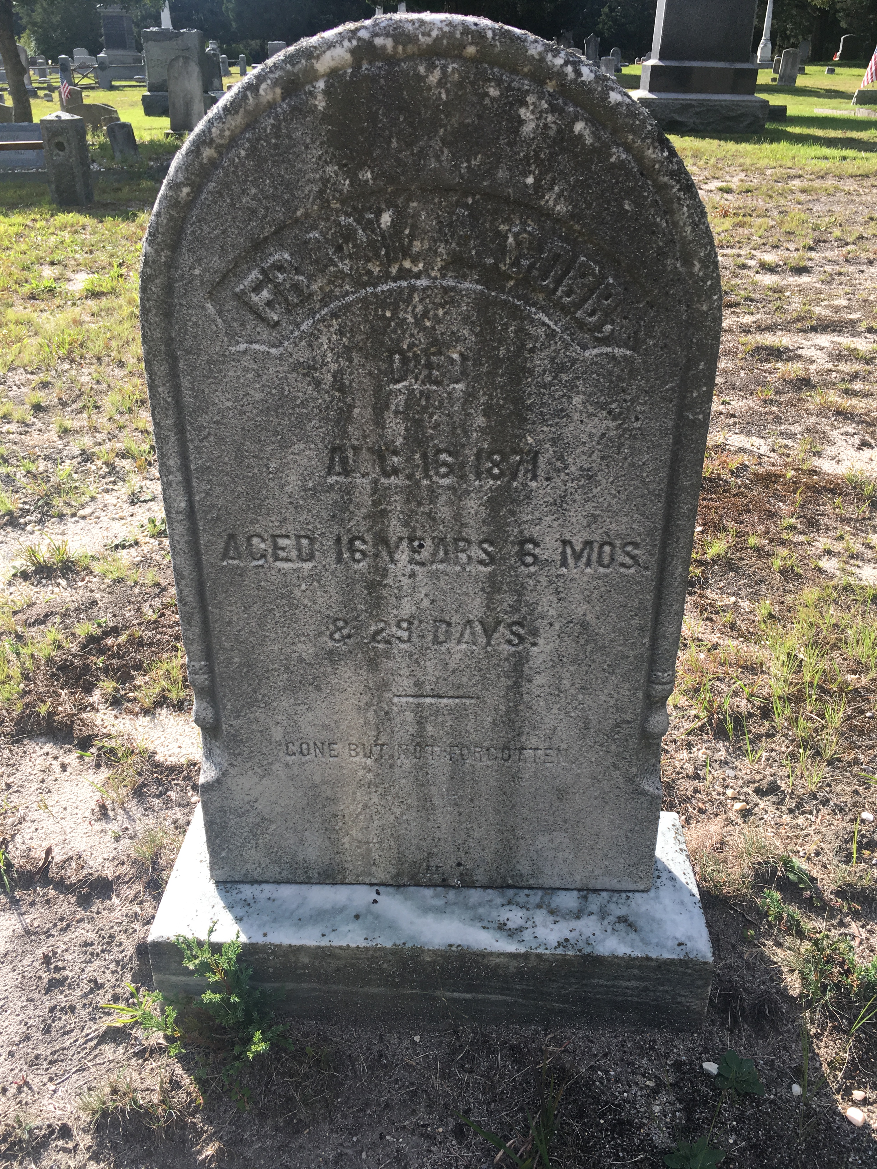 Photographed 09 September 2017.