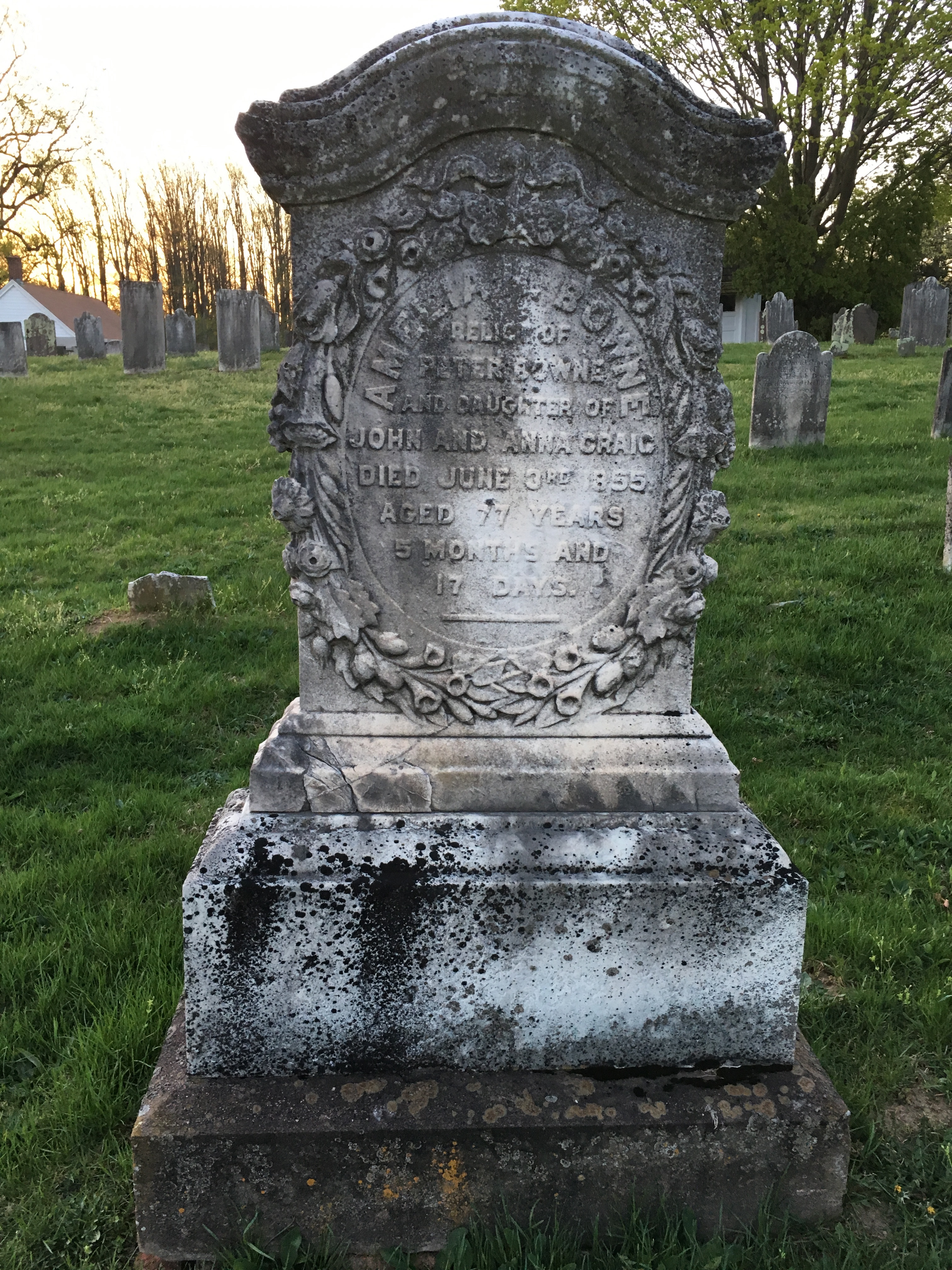 Photographed 18 April 2017.