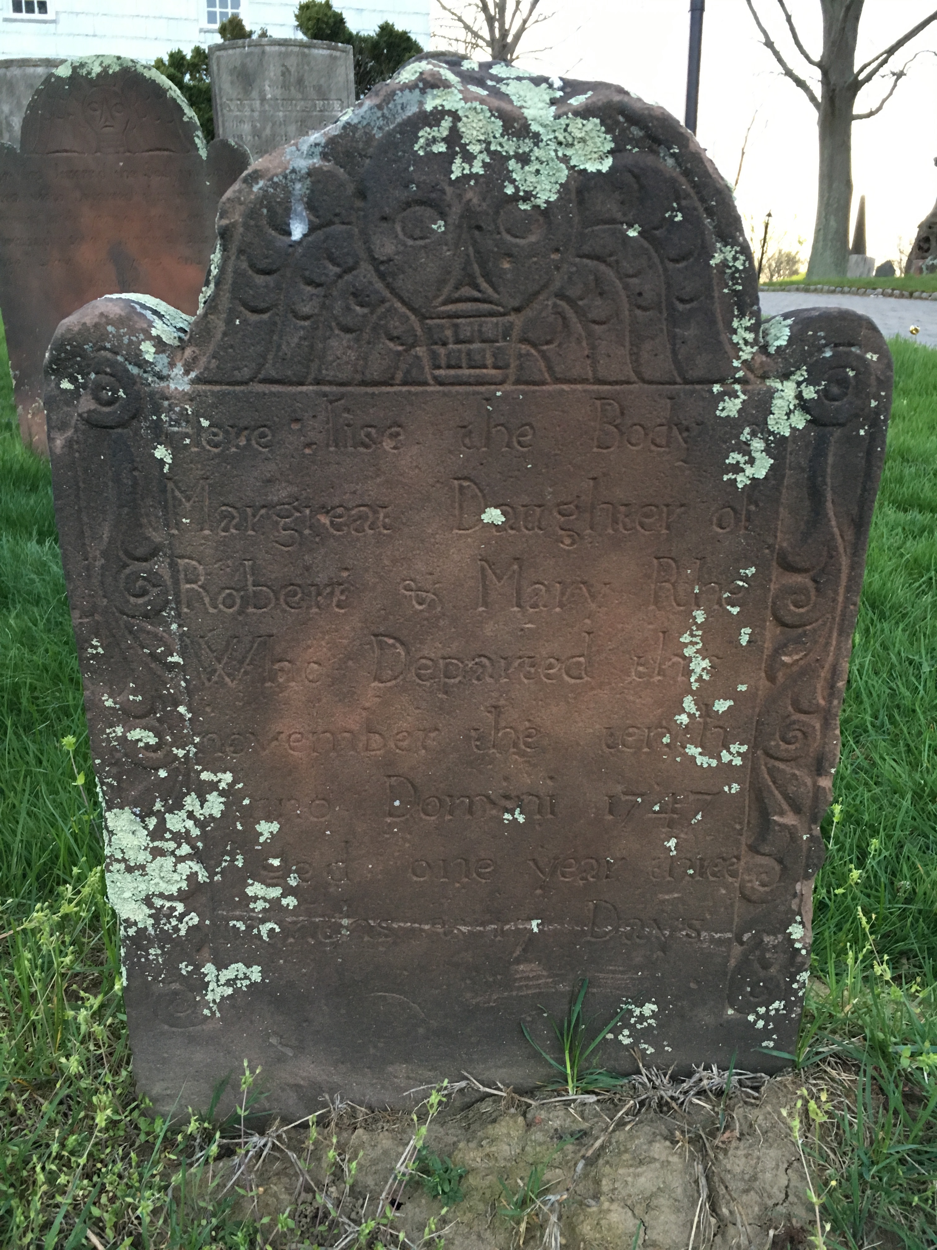 Photographed 18 April 2017.