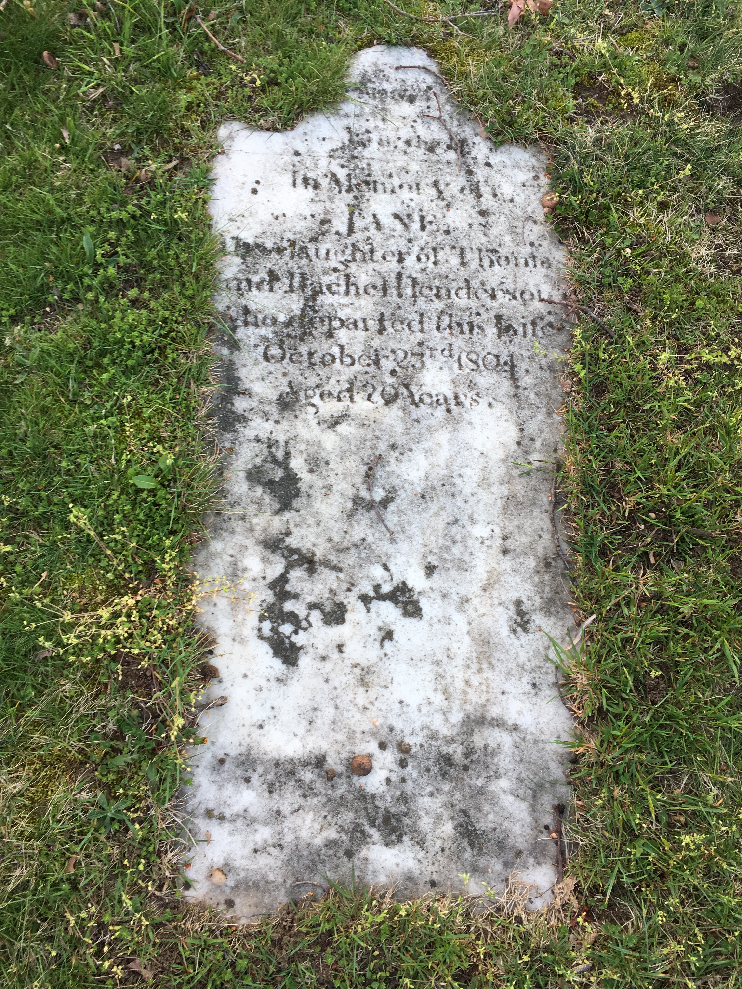 Photographed 18 April 2017.