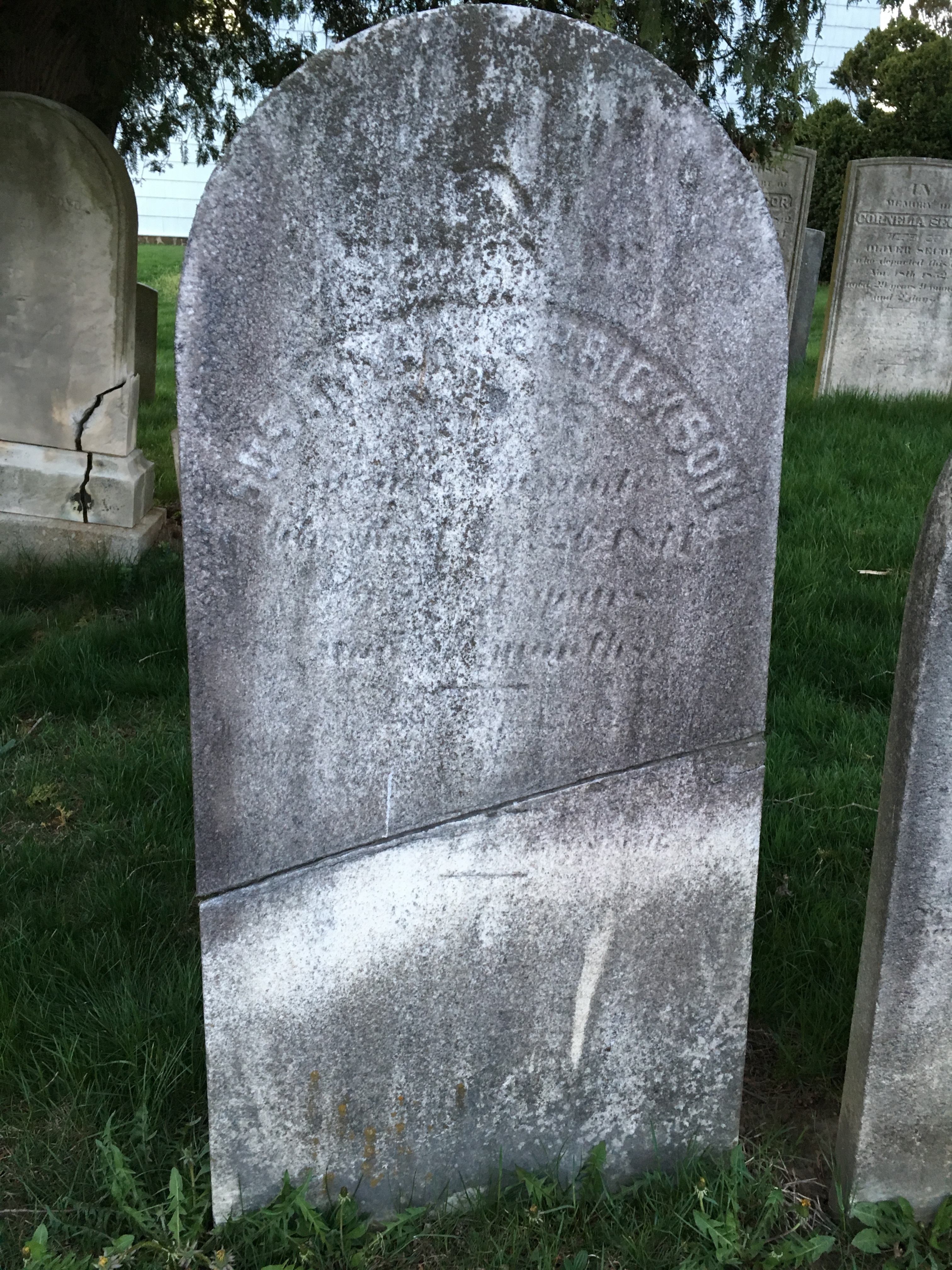 Photographed 18 April 2017.