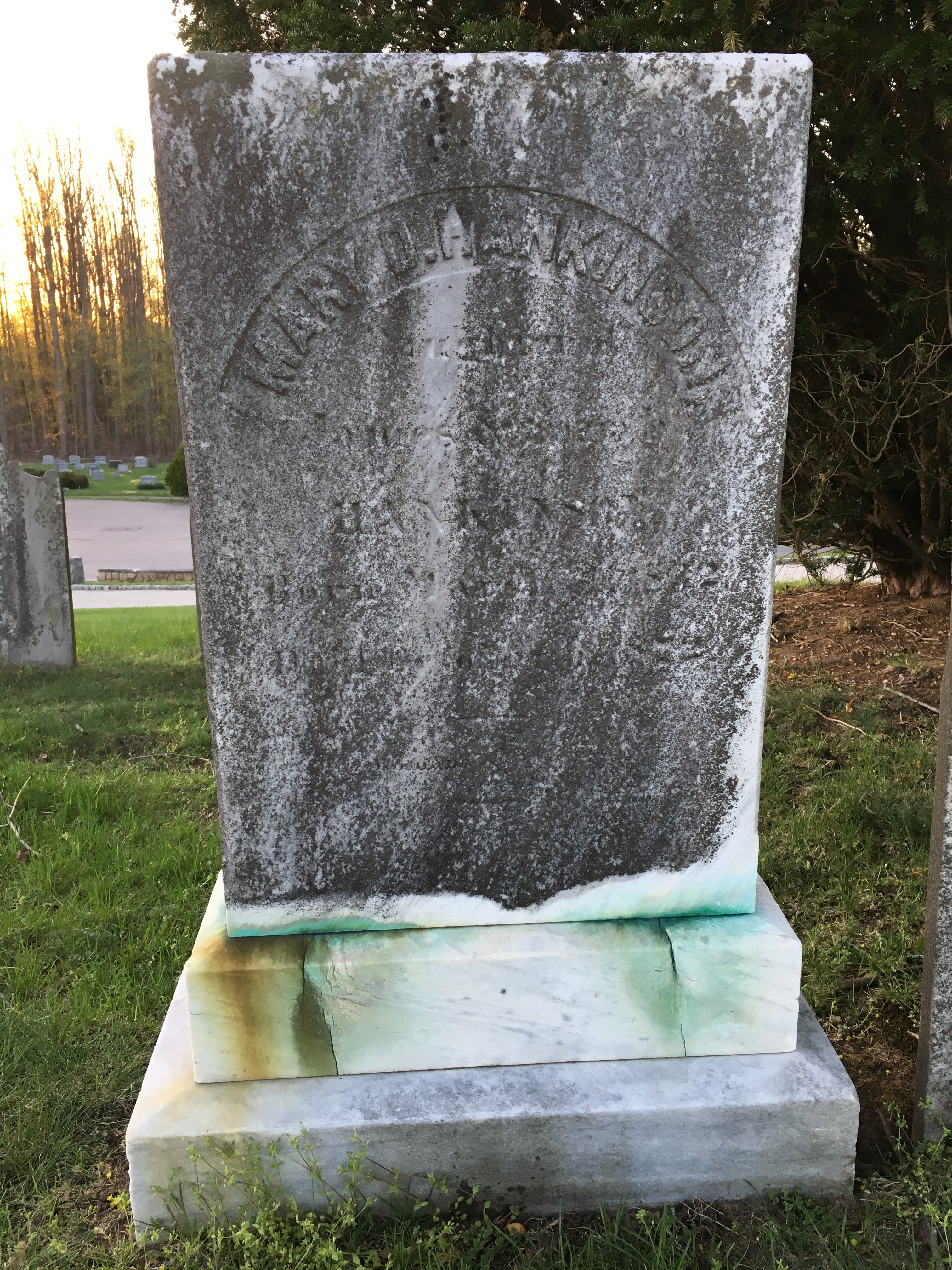 Photographed 18 April 2017.