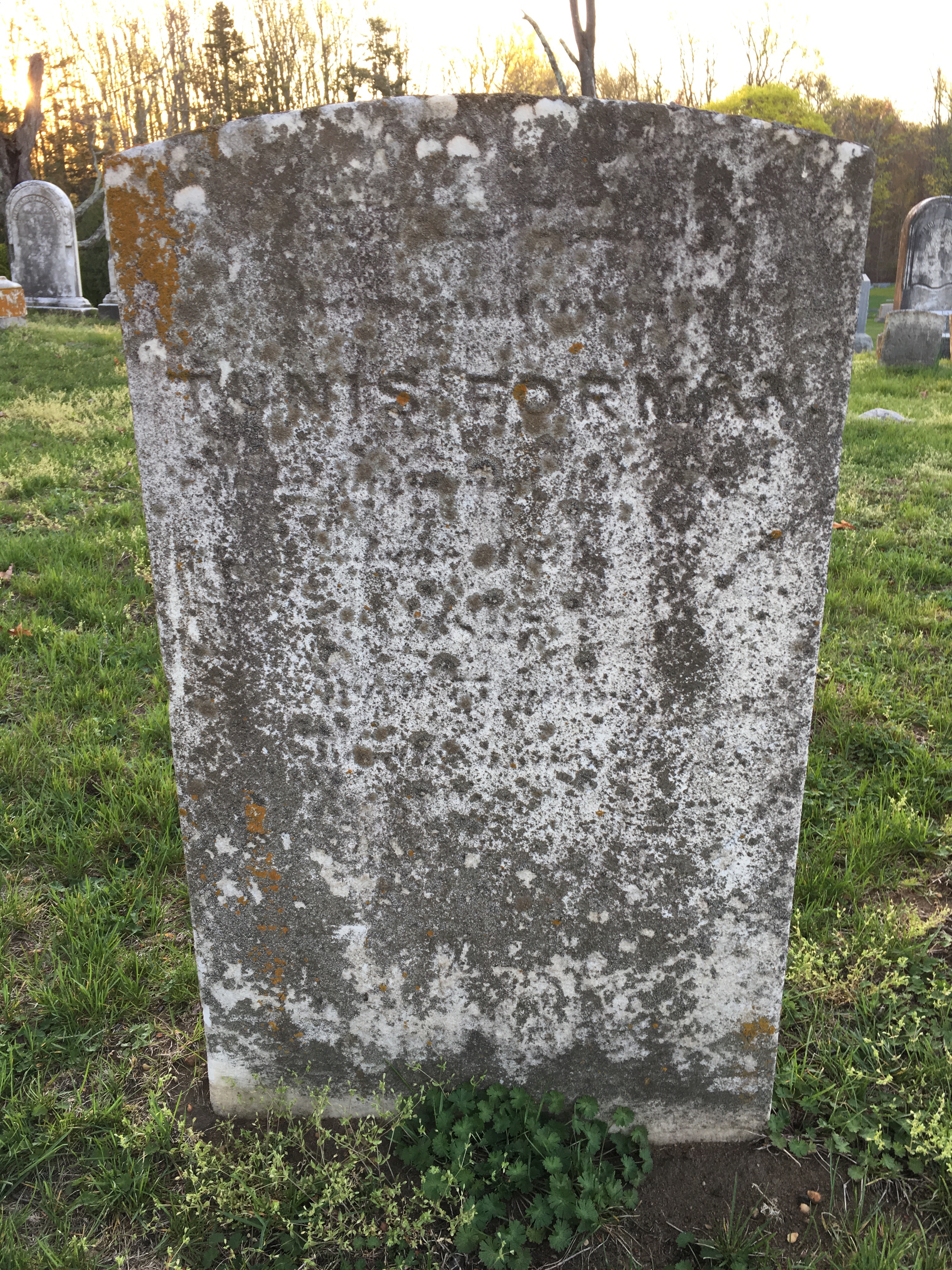 Photographed 18 April 2017.