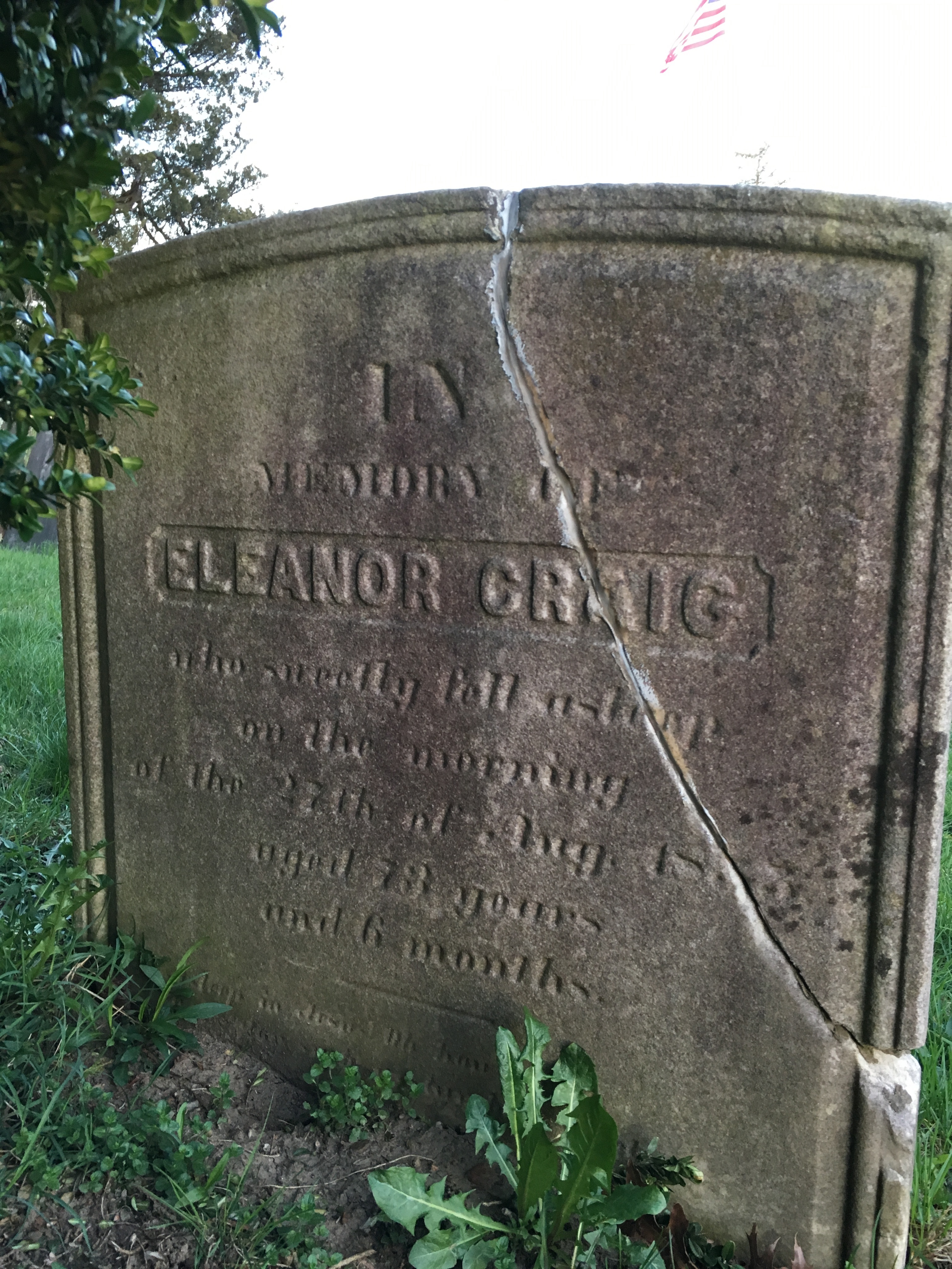 Photographed 18 April 2017.