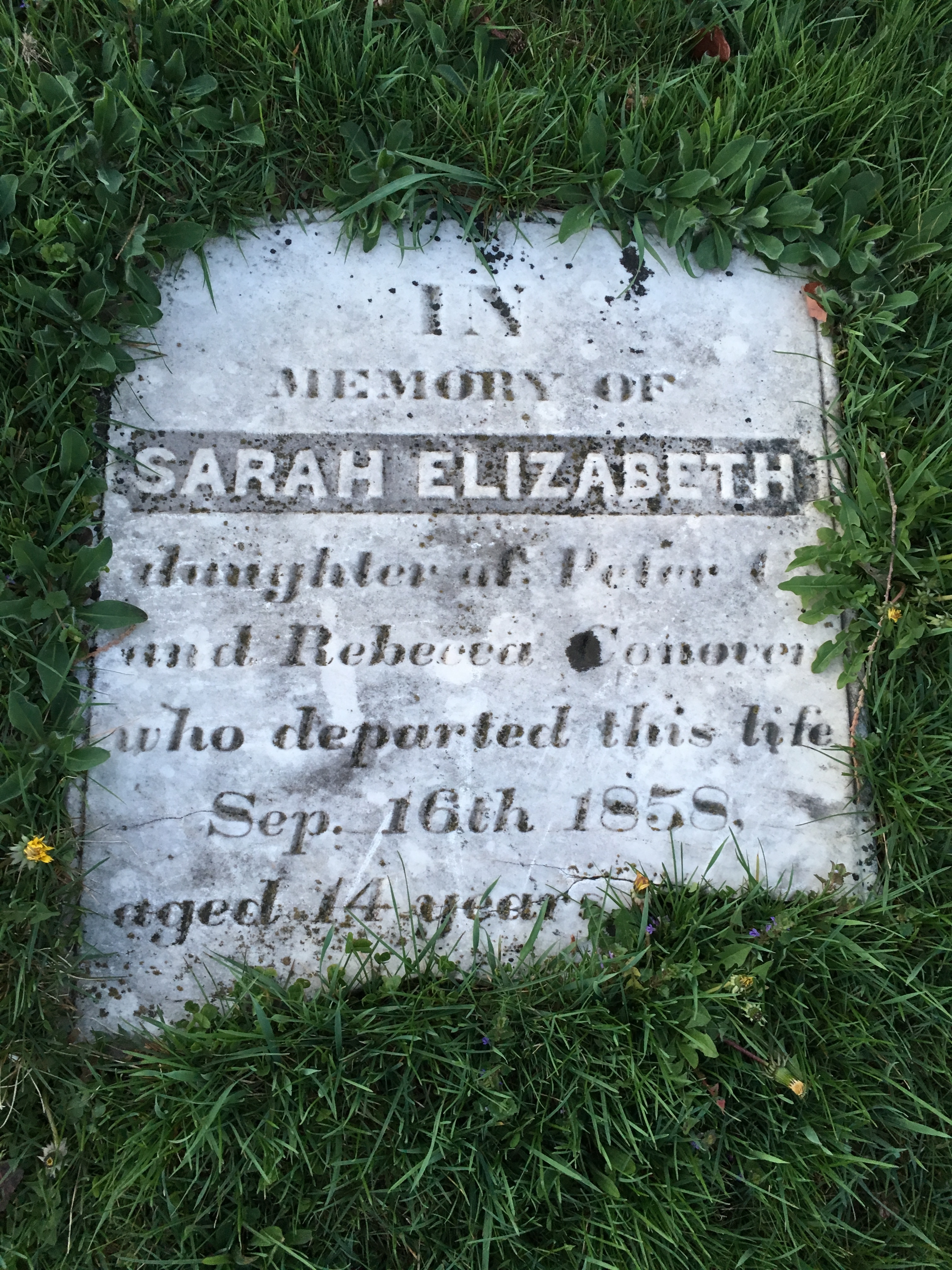 Photographed 18 April 2017.