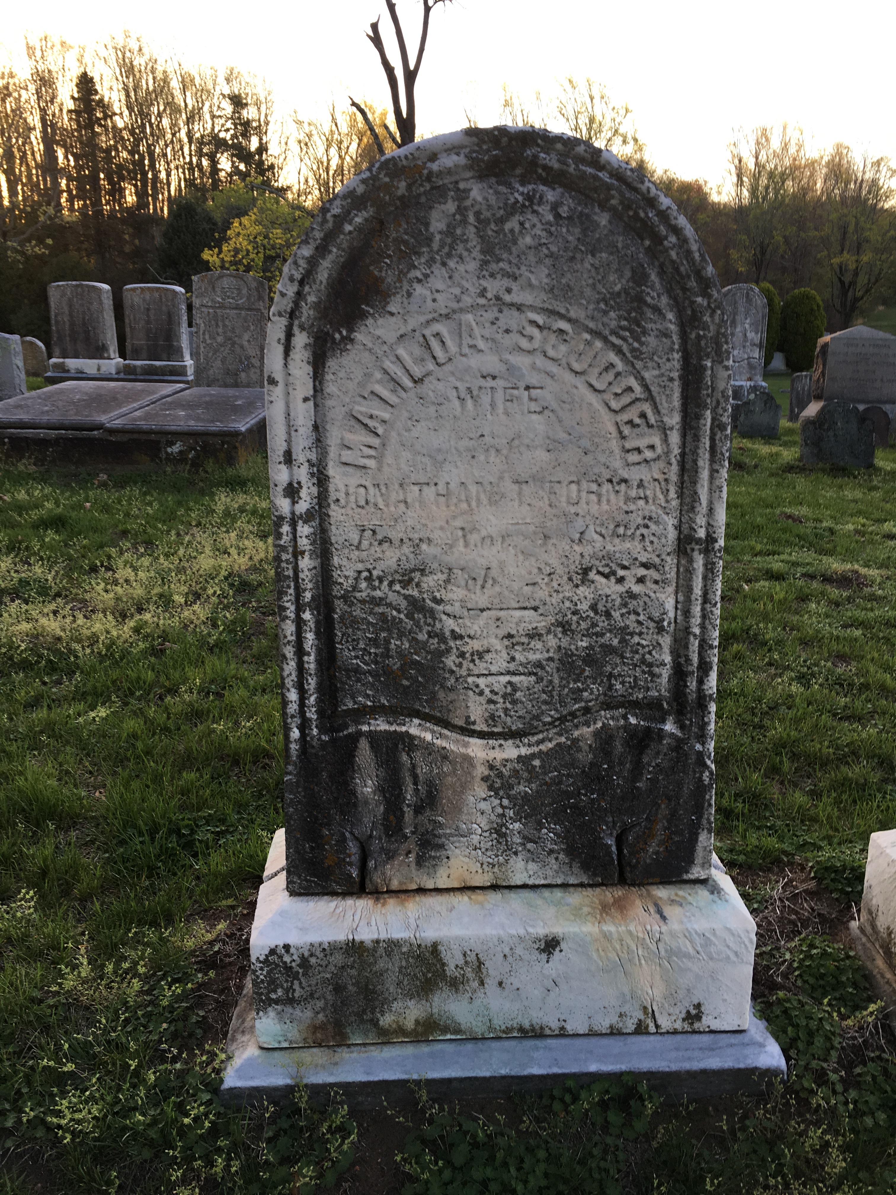 Photographed 18 April 2017.