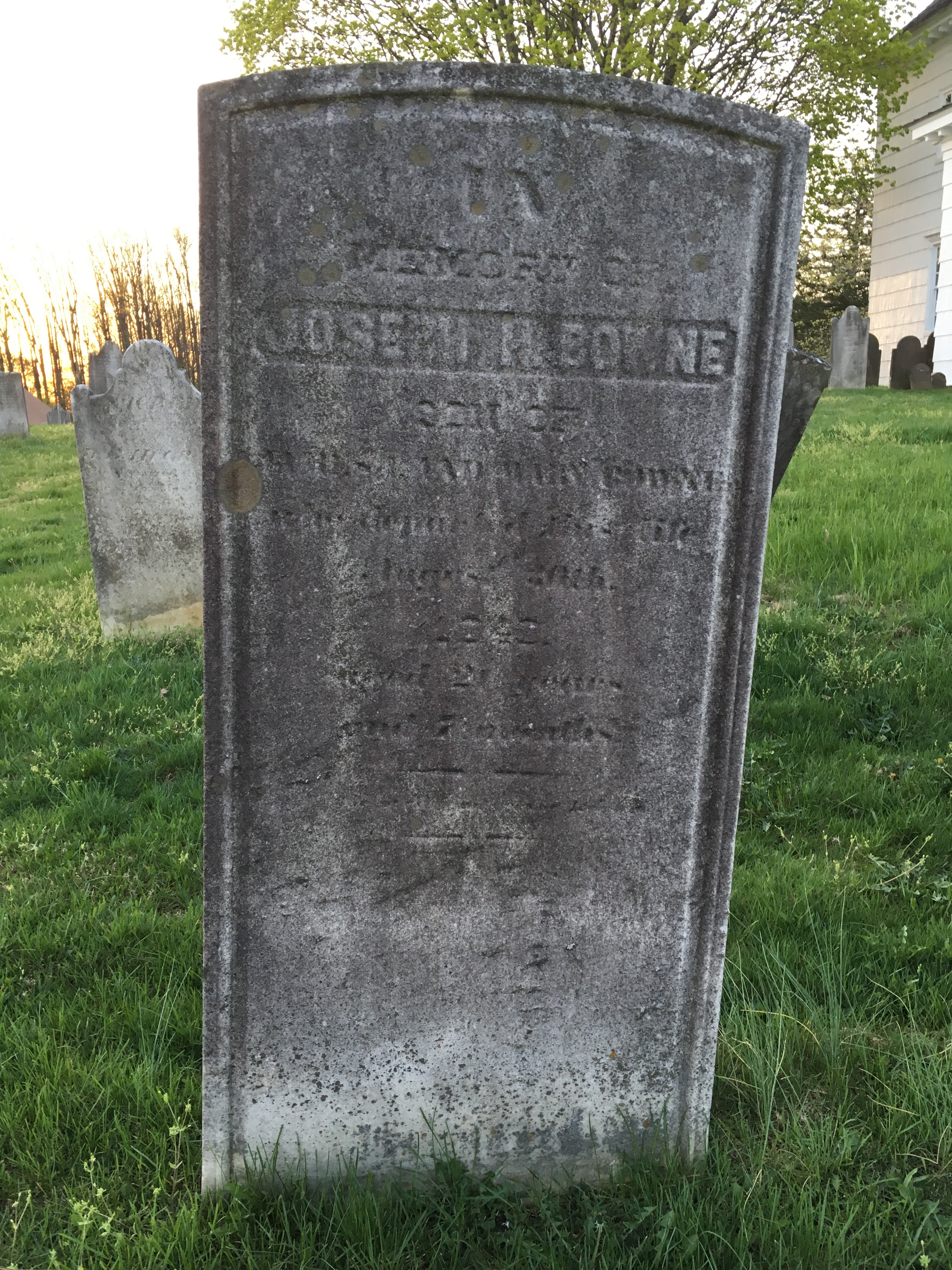 Photographed 18 April 2017.