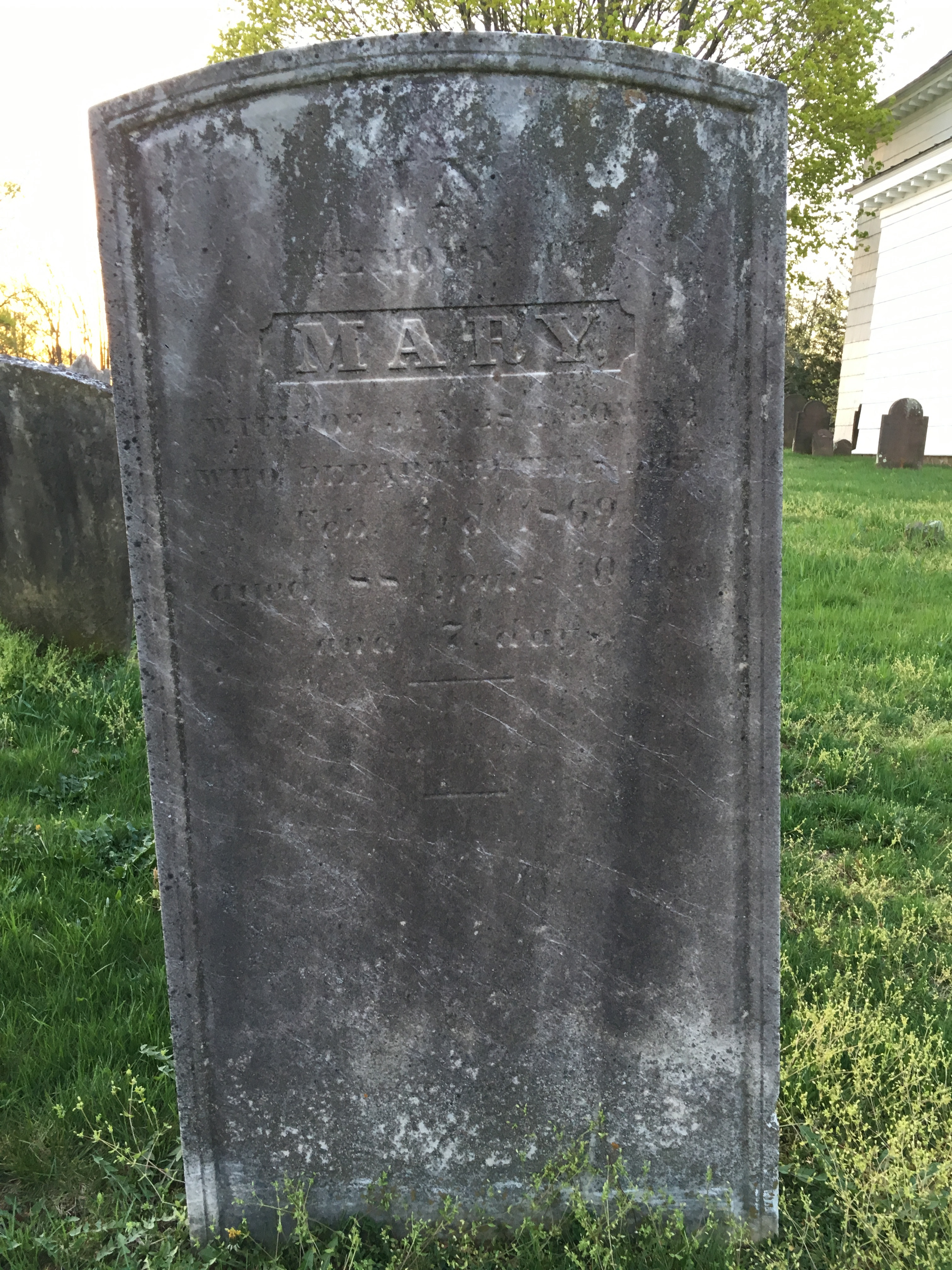 Photographed 18 April 2017.