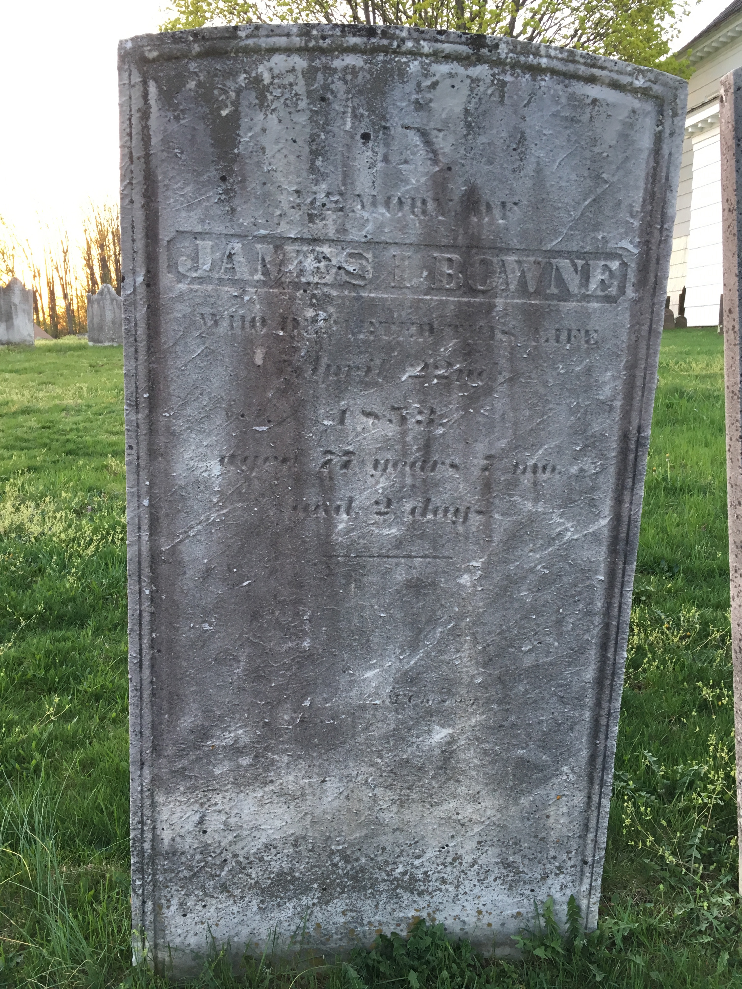 Photographed 18 April 2017.