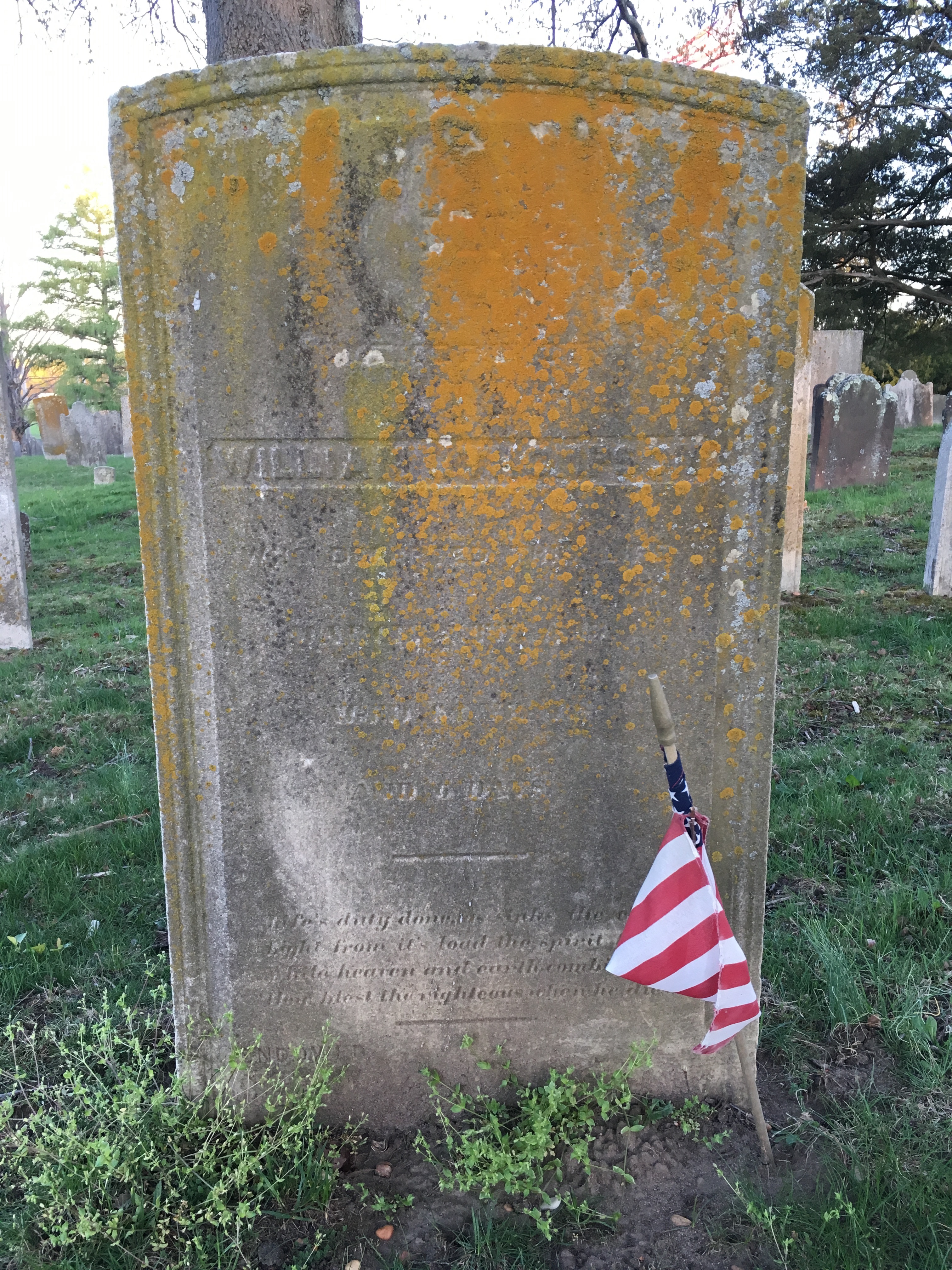 Photographed 18 April 2017.