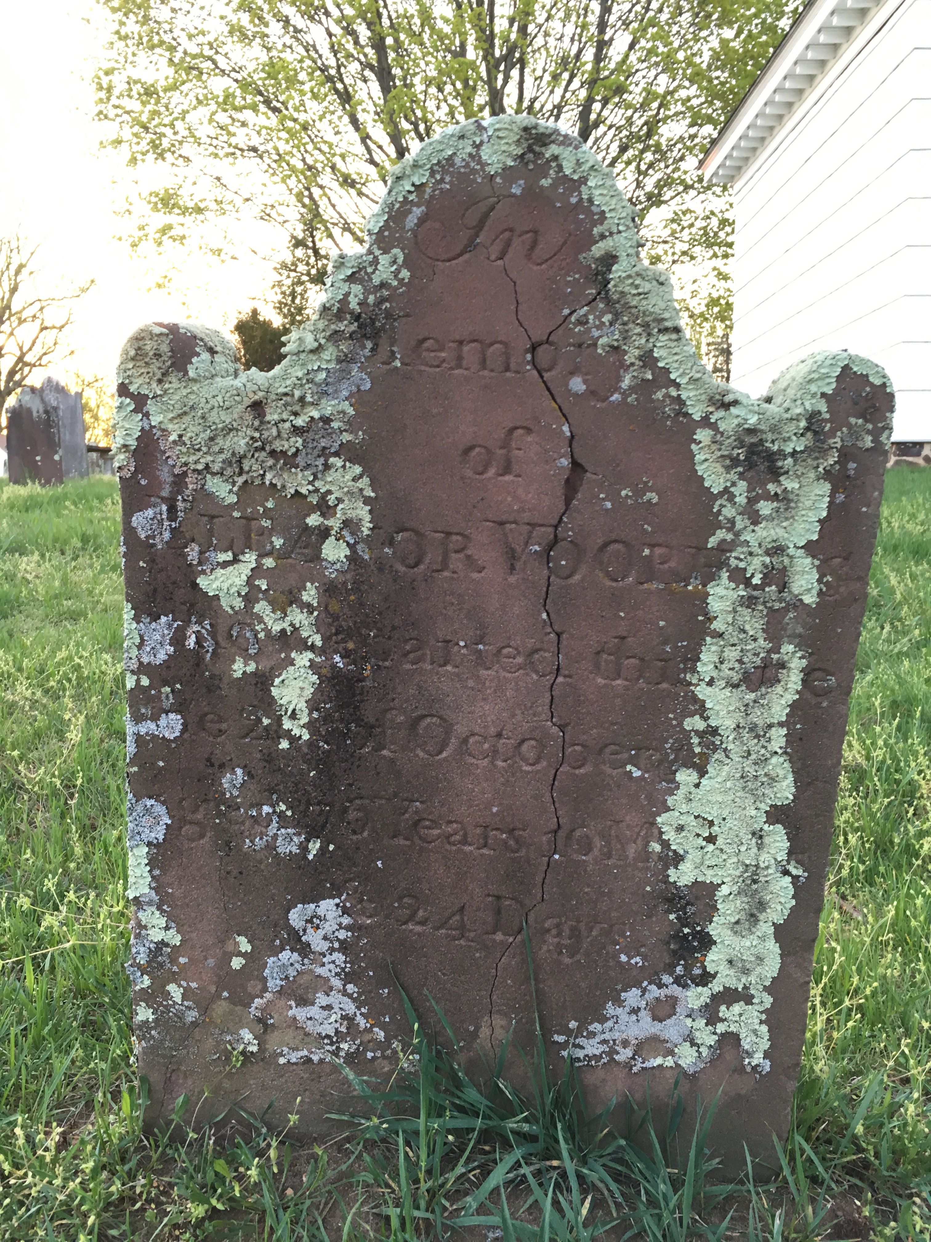 Photographed 18 April 2017.