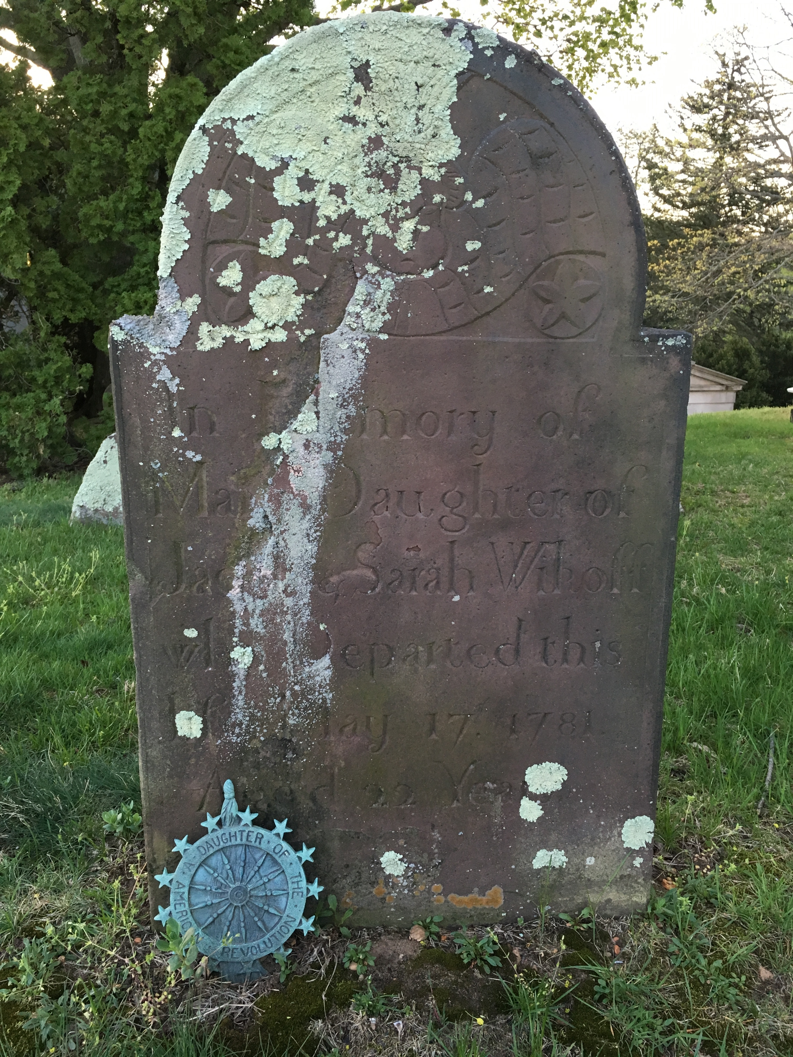 Photographed 18 April 2017.