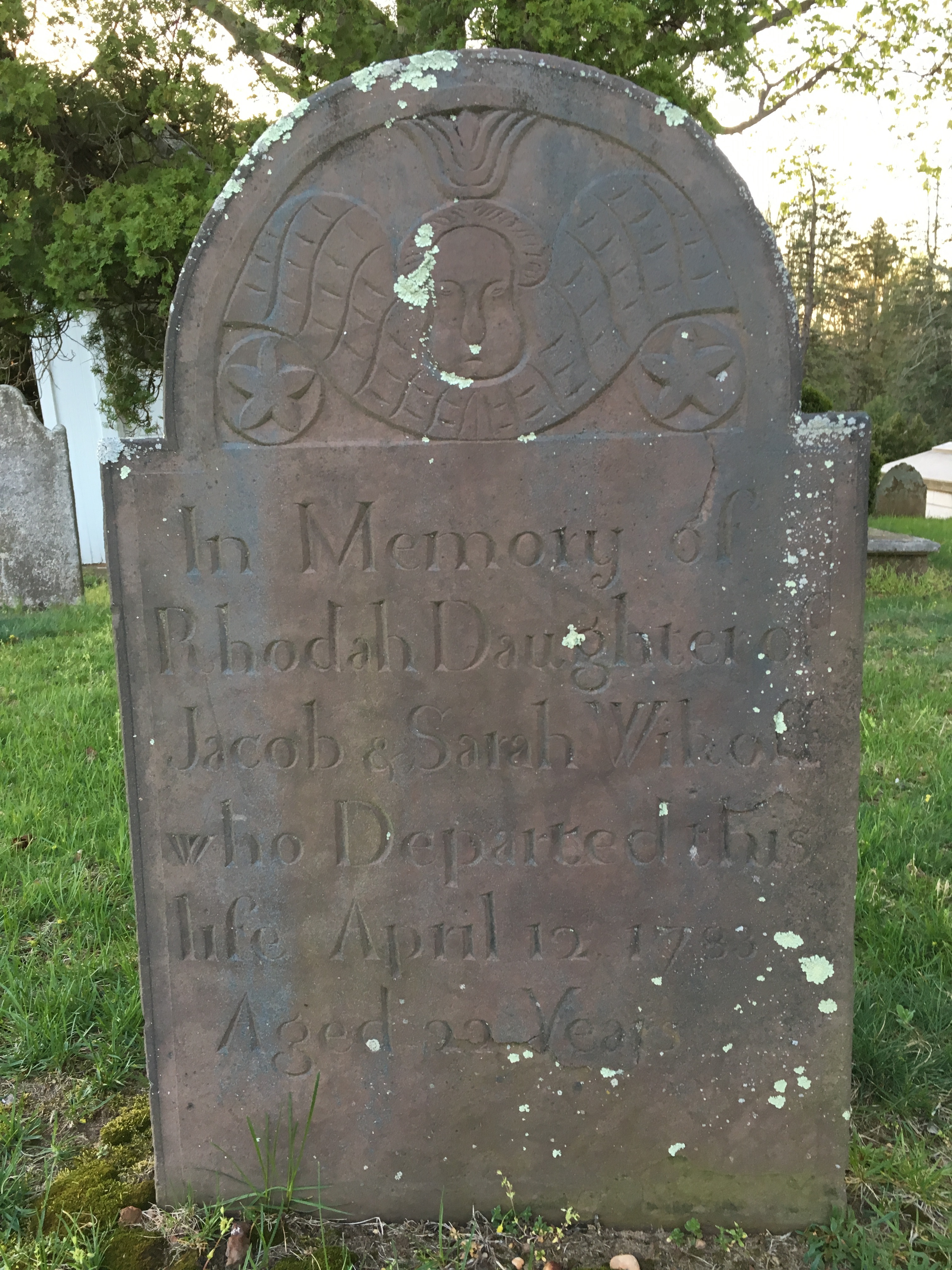 Photographed 18 April 2017.