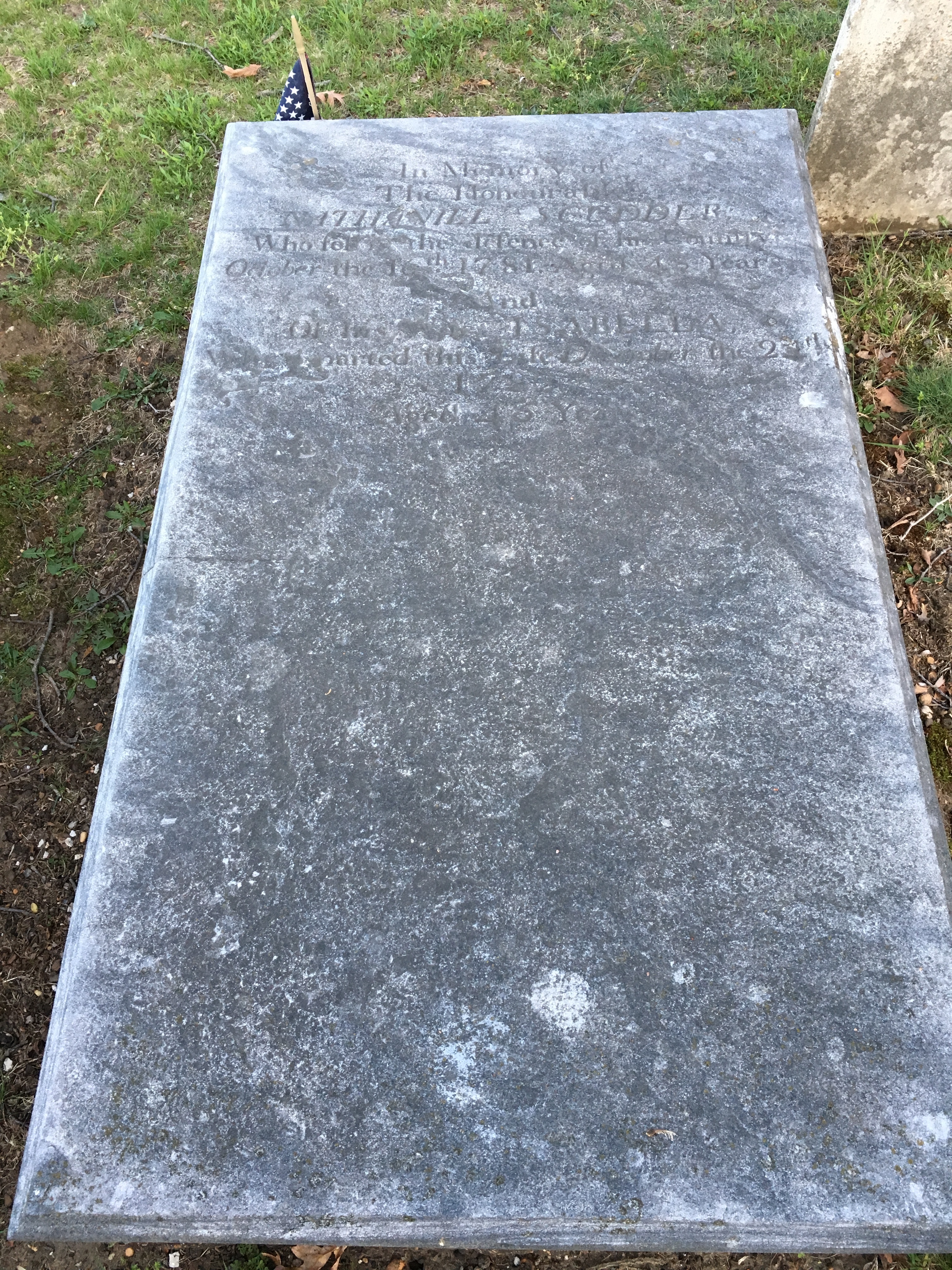 Photographed 18 April 2017.