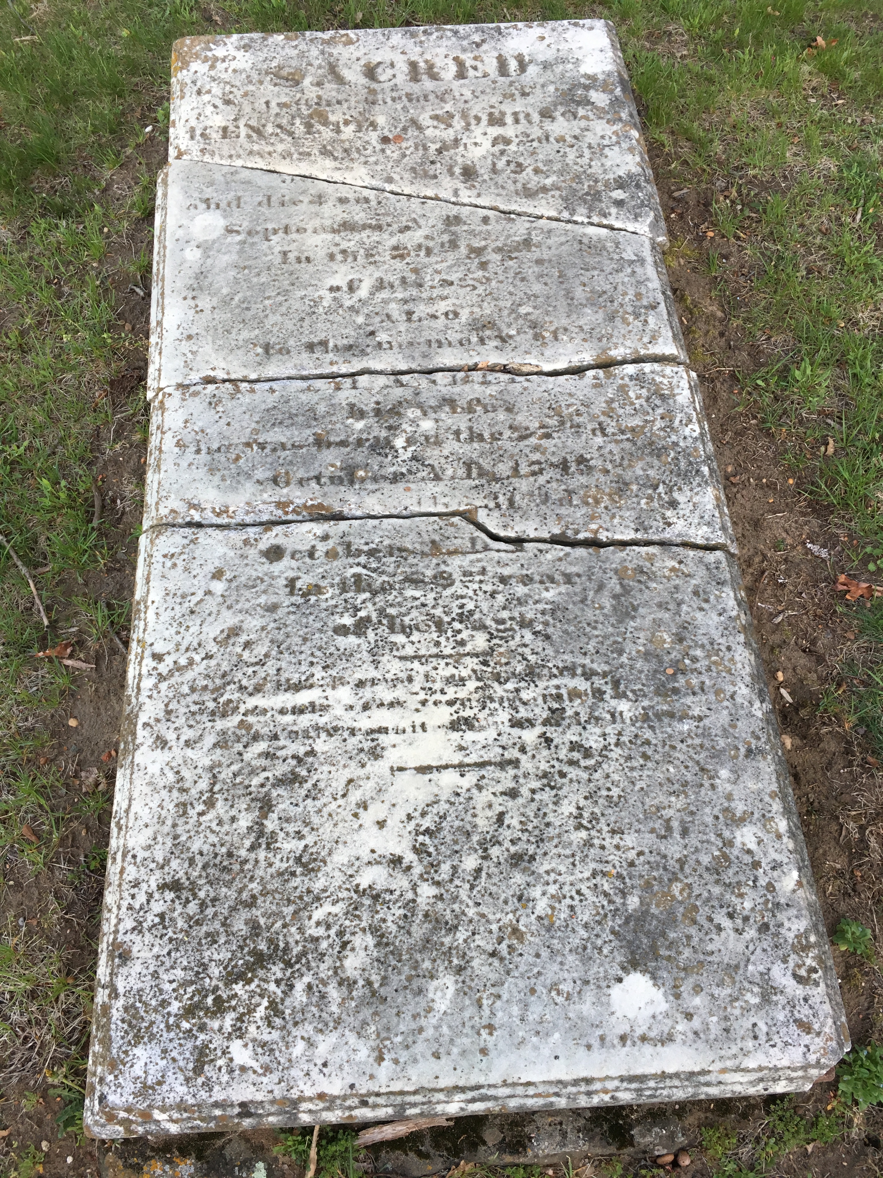 Photographed 18 April 2017.