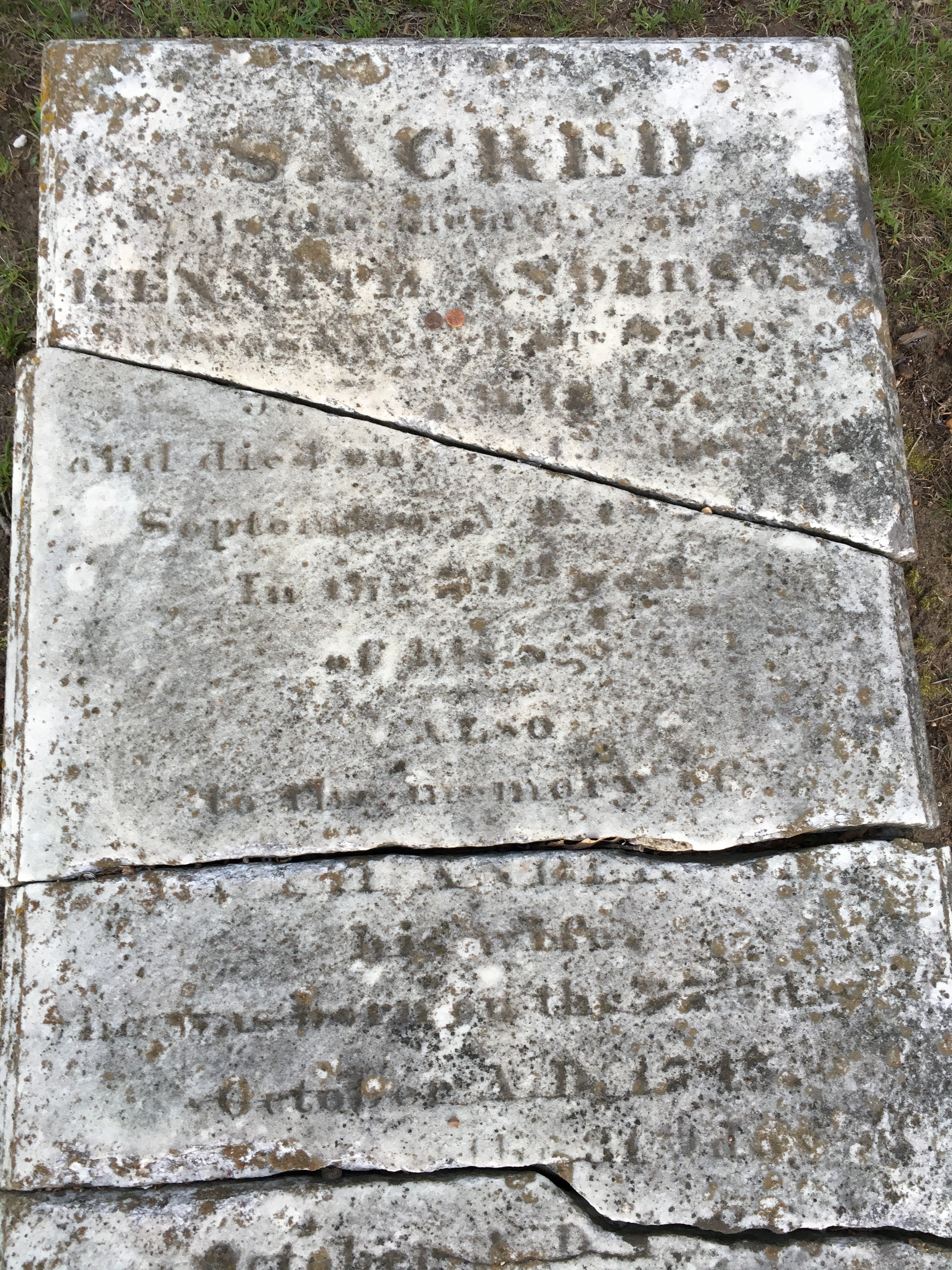 Photographed 18 April 2017.