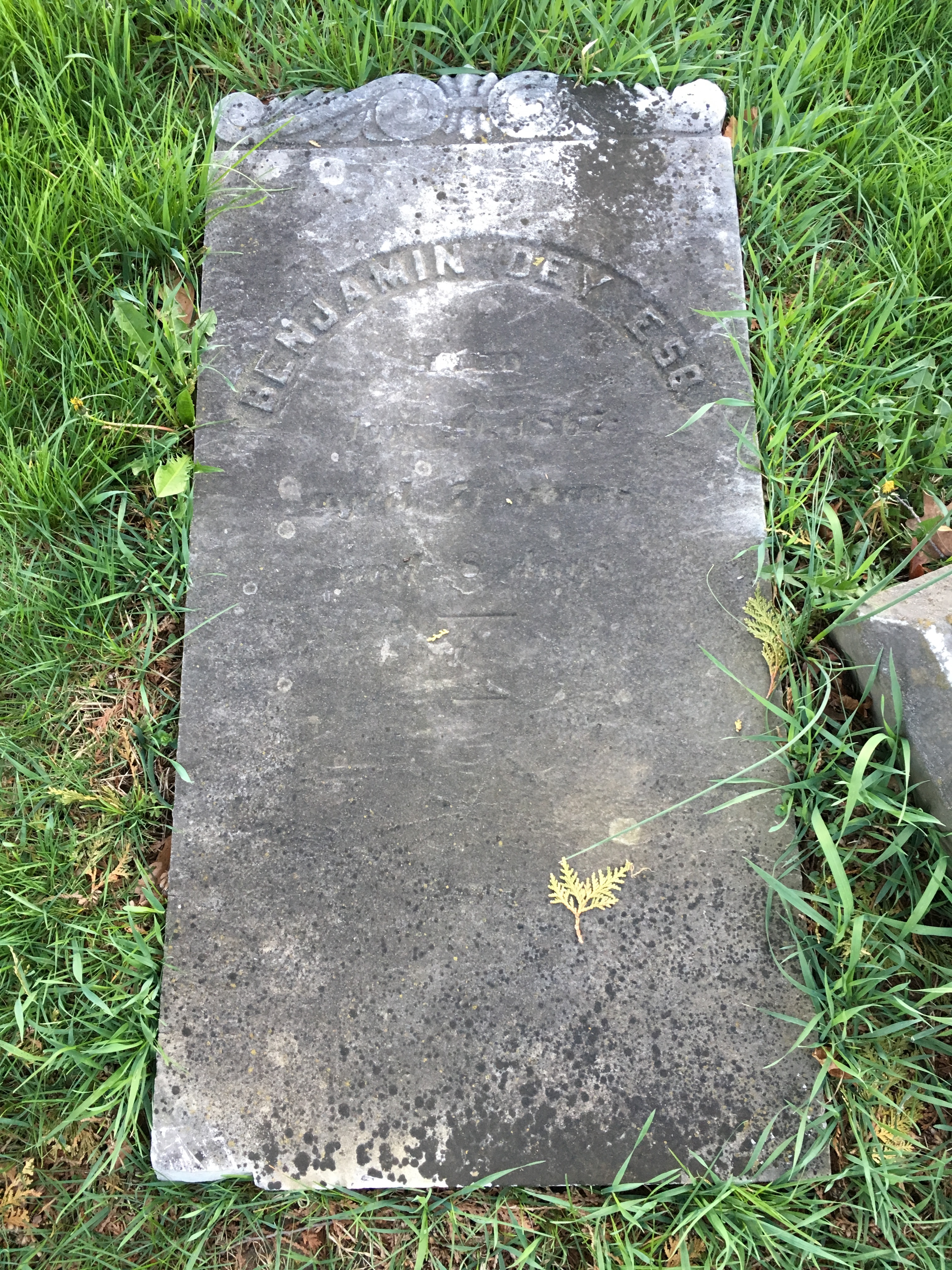 Photographed 18 April 2017.