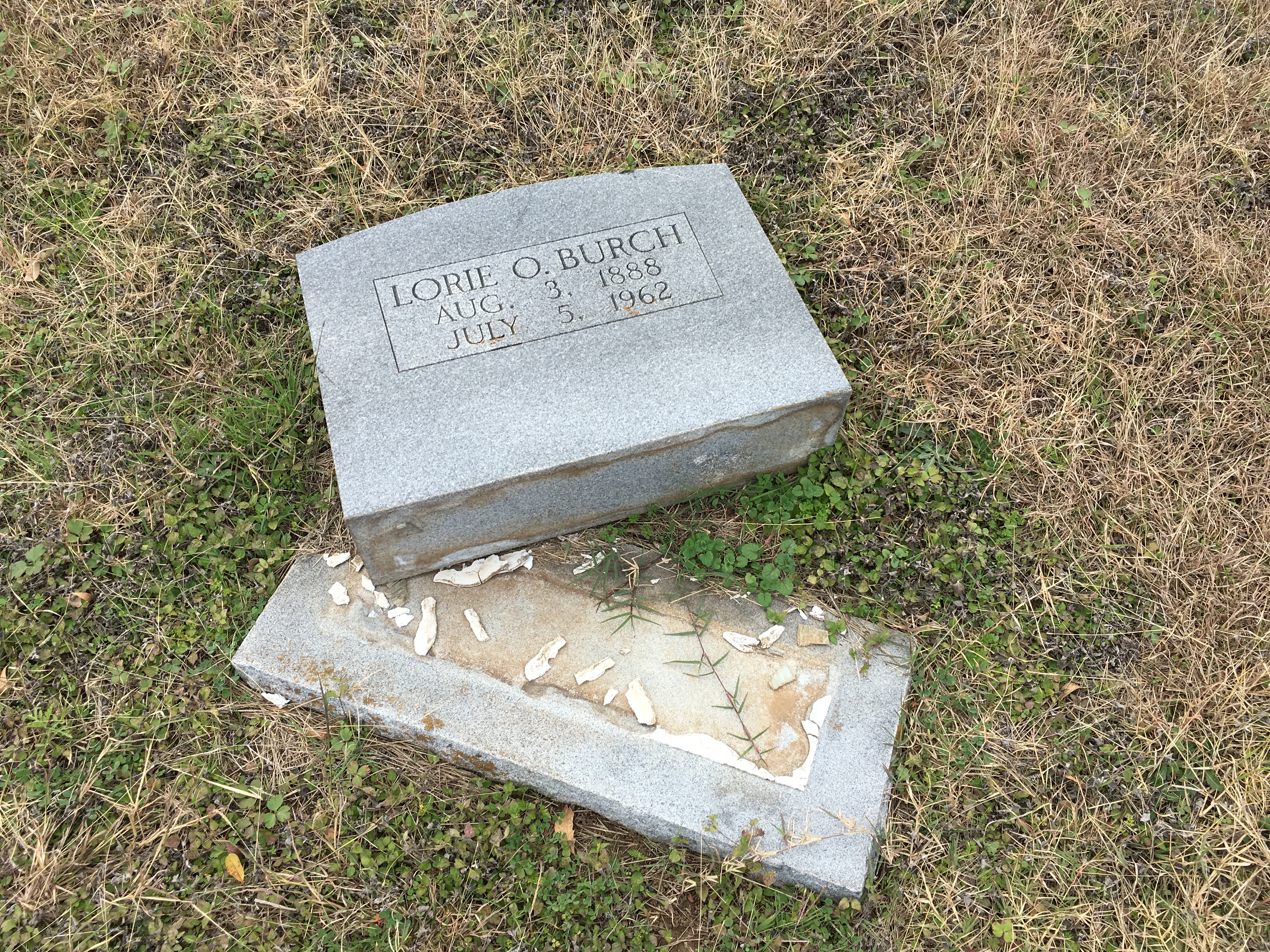 Photo taken 30 Dec 2017.