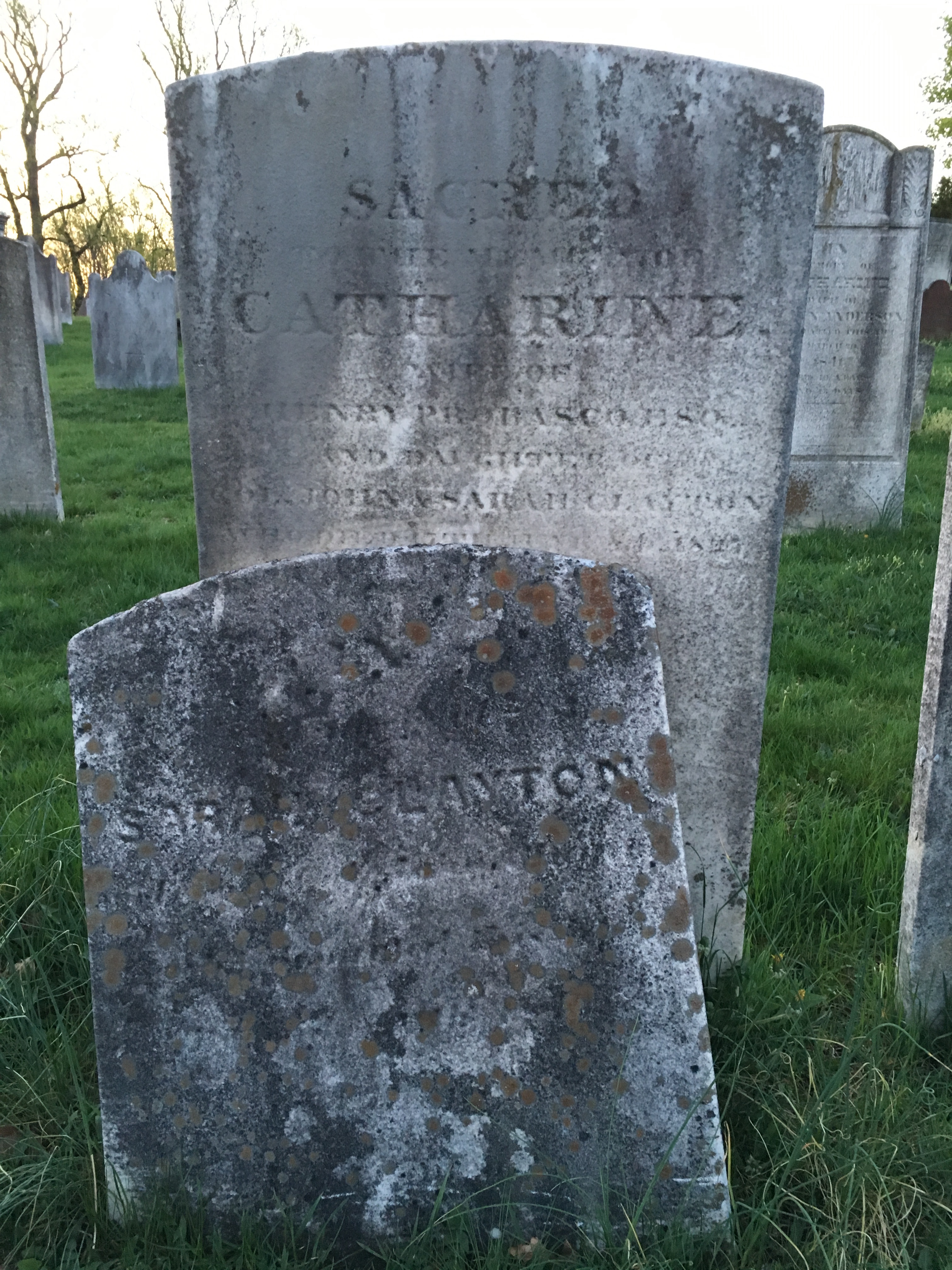 Photographed 18 April 2017.