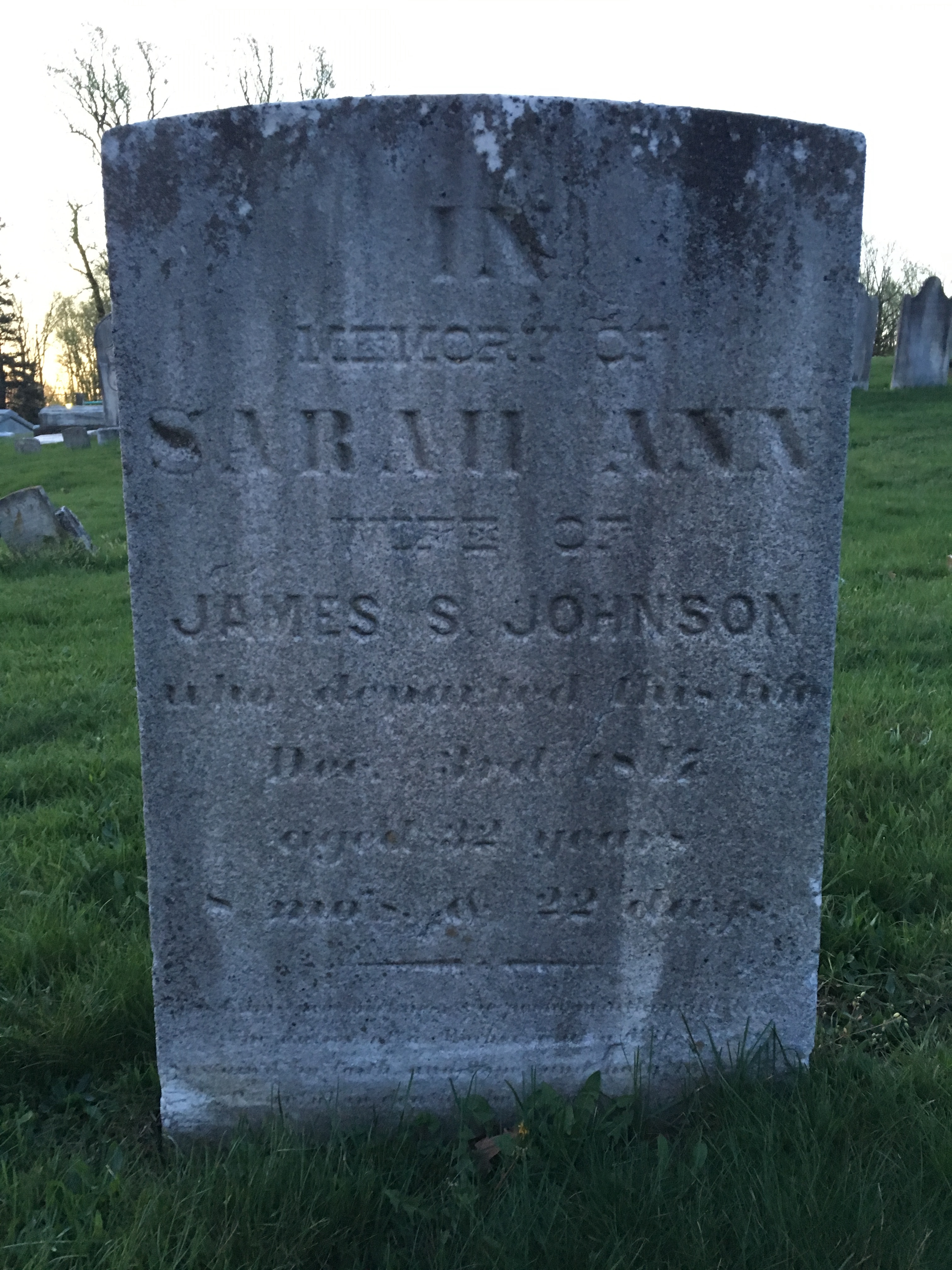 Photographed 18 April 2017.