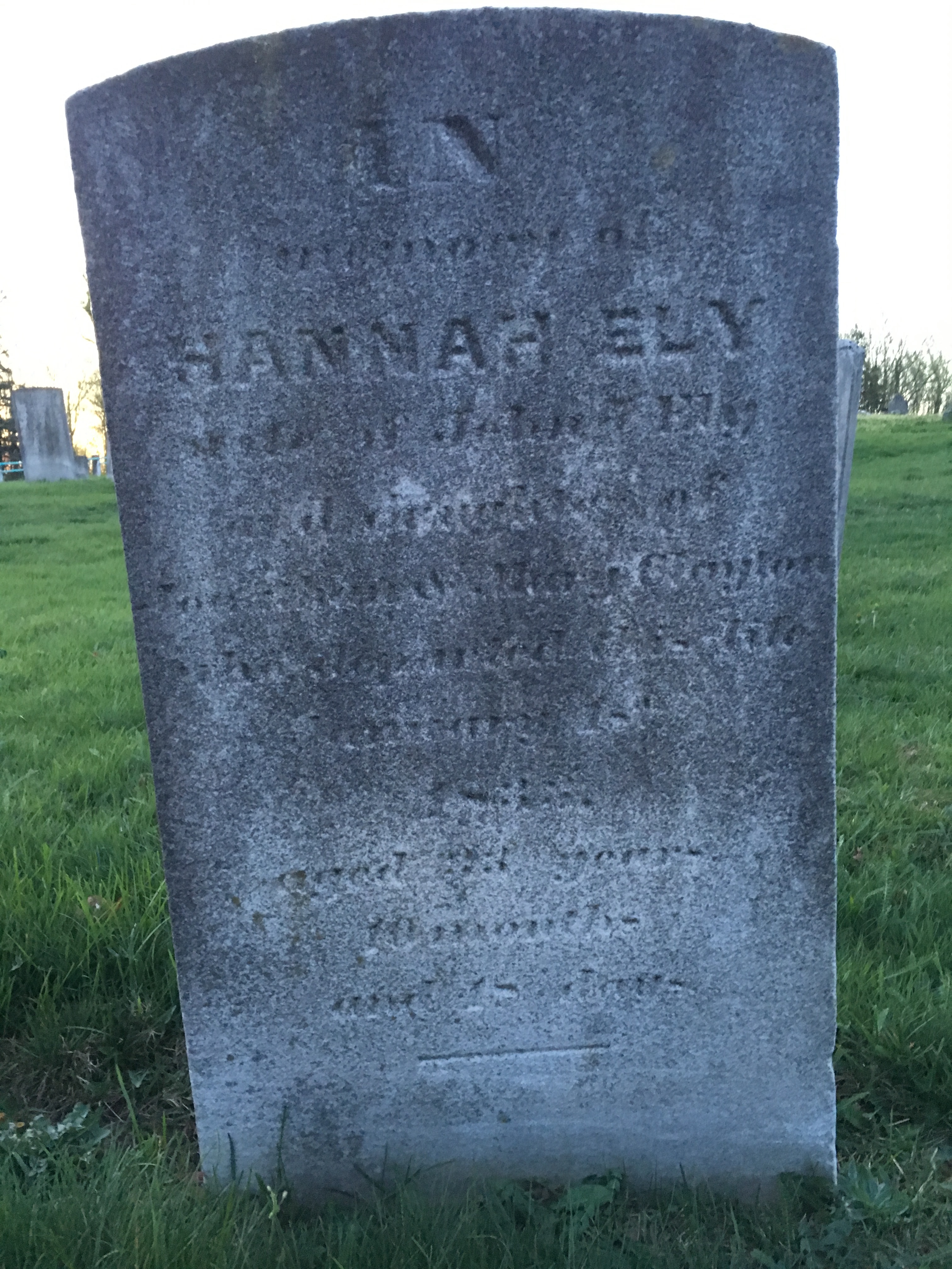 Photographed 18 April 2017.