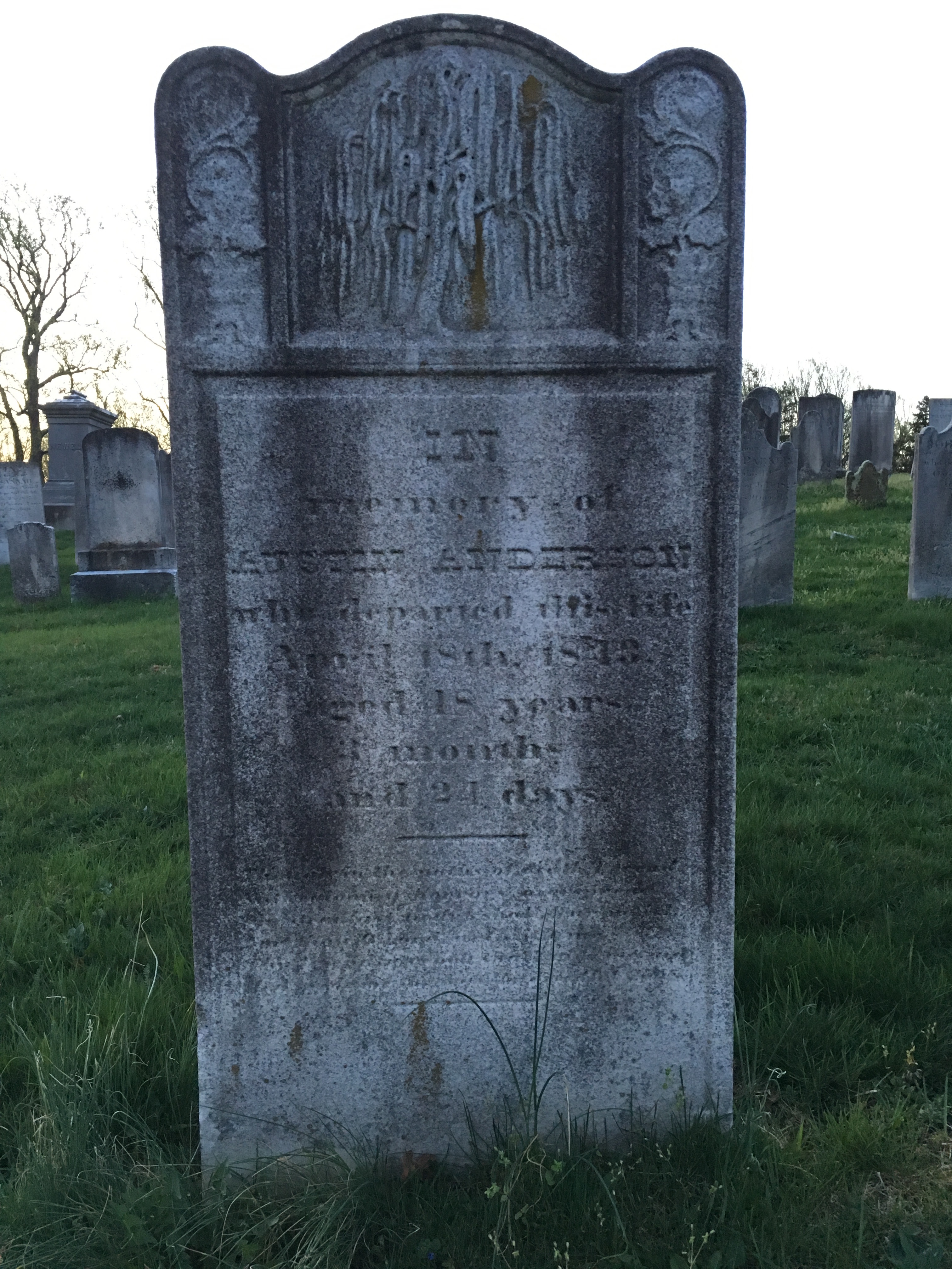 Photographed 18 April 2017.