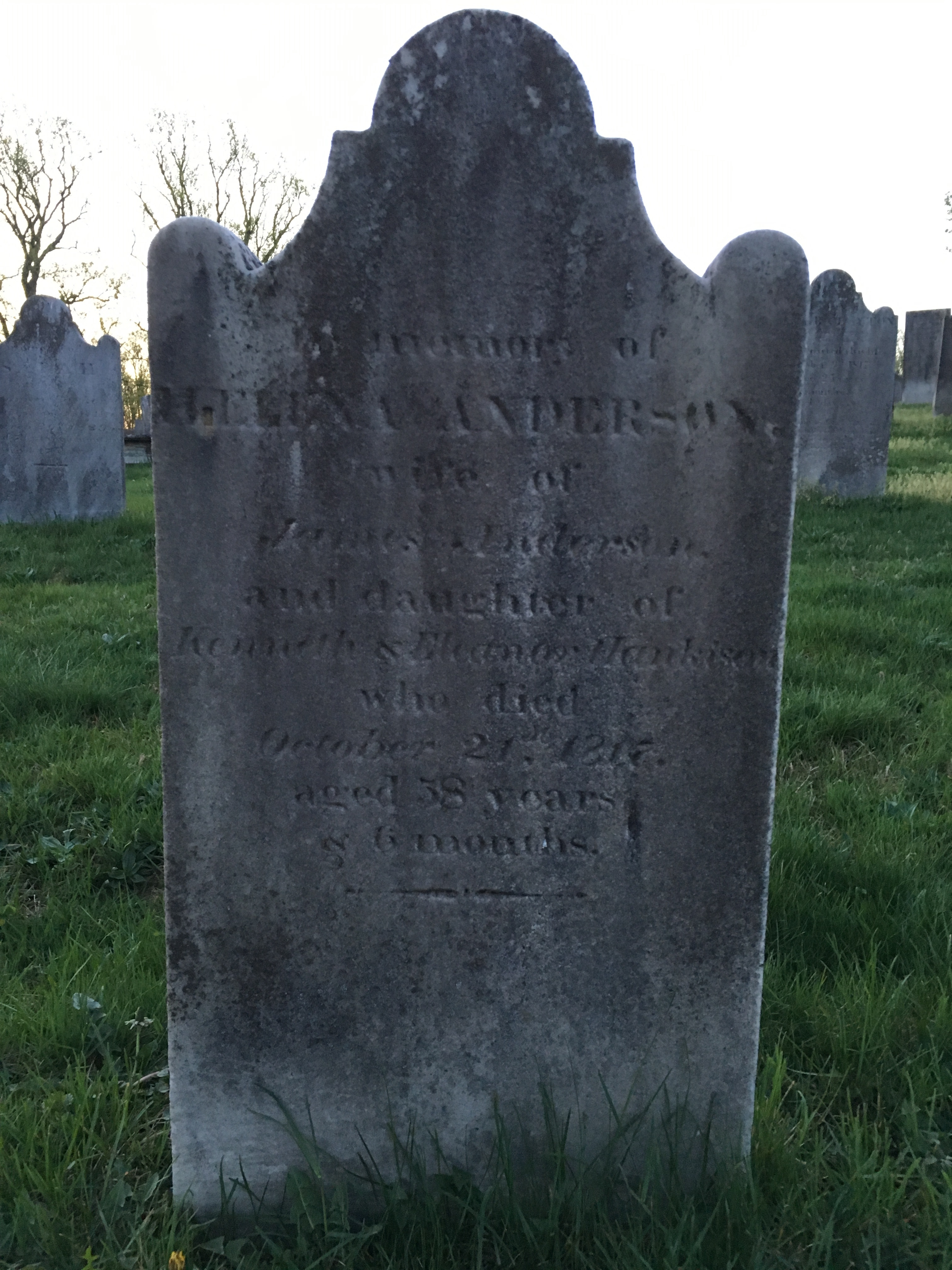 Photographed 18 April 2017.