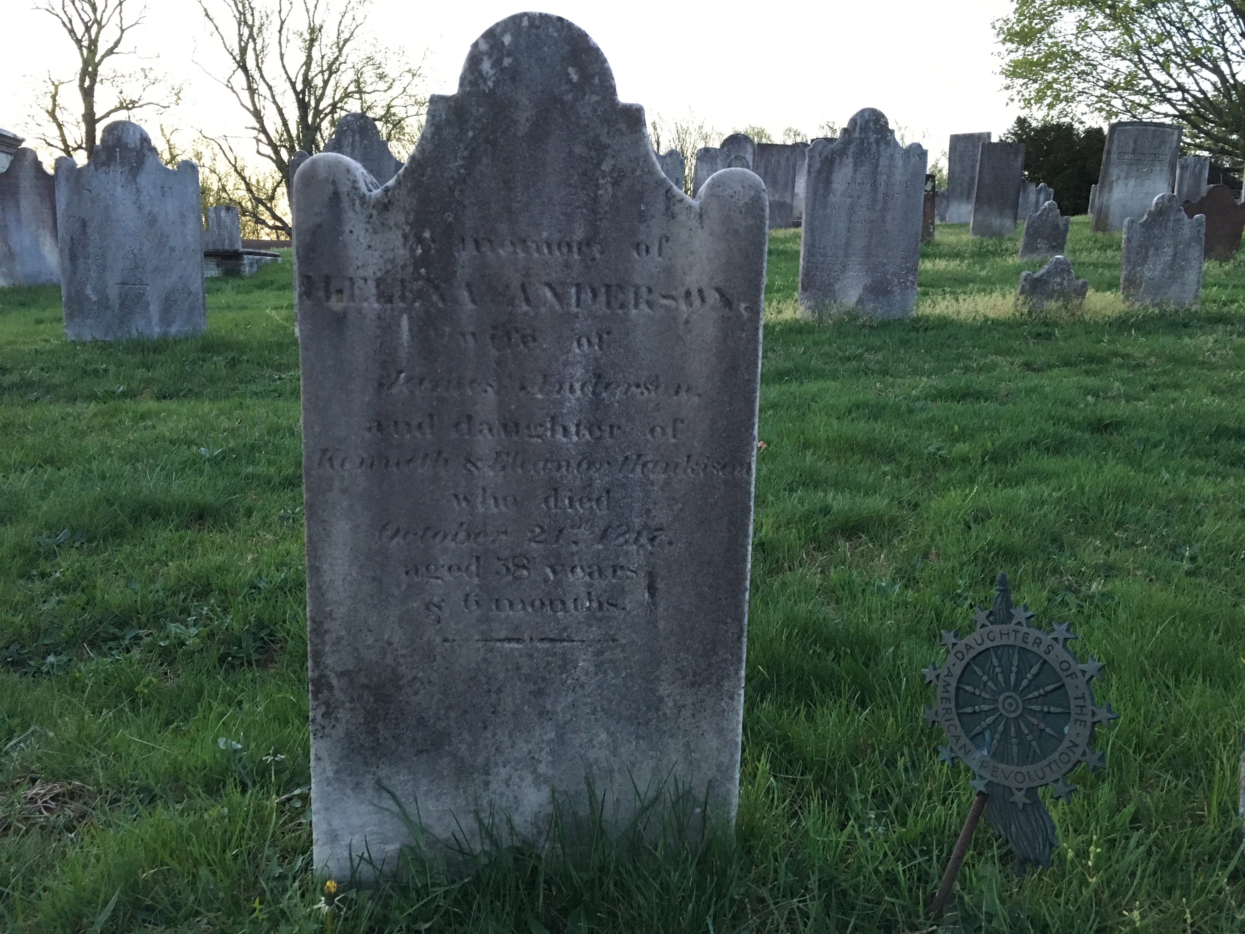 Photographed 18 April 2017.