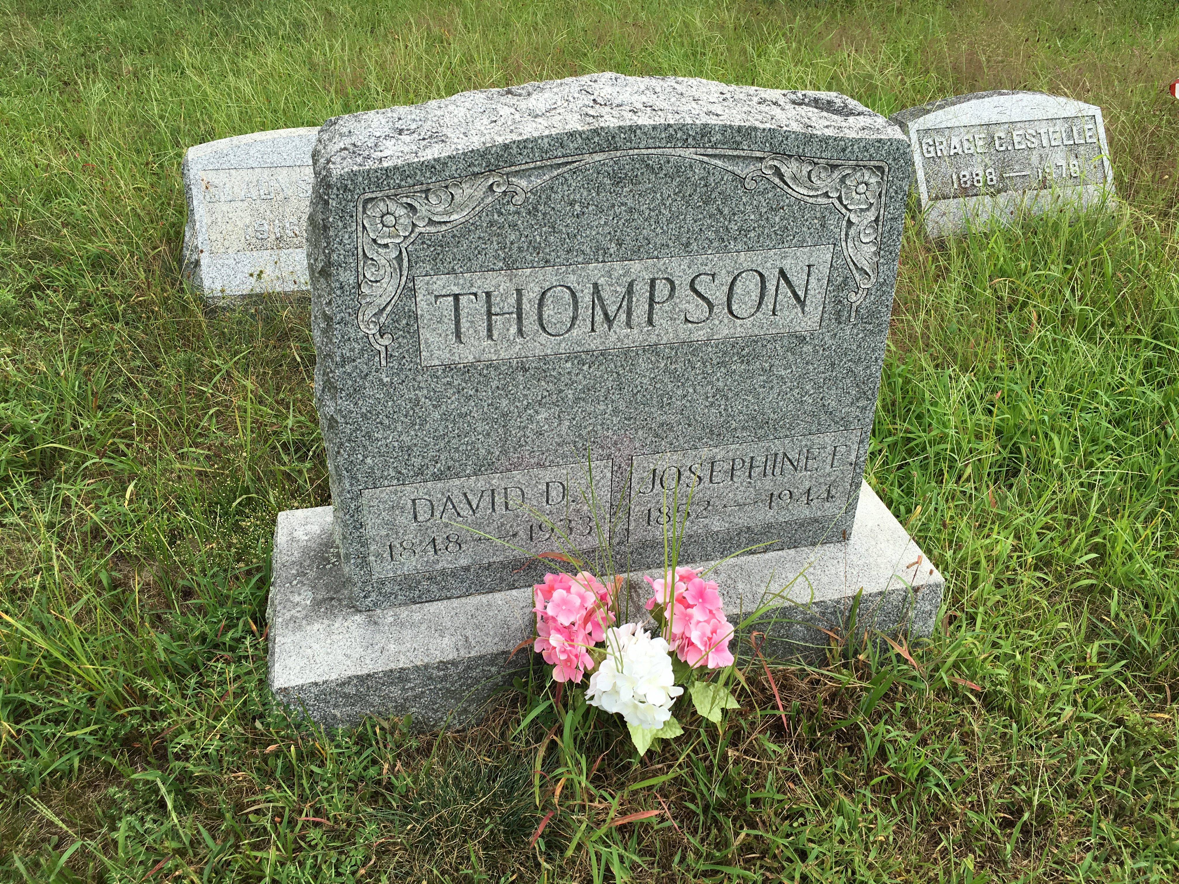 Photographed 16 August 2016.