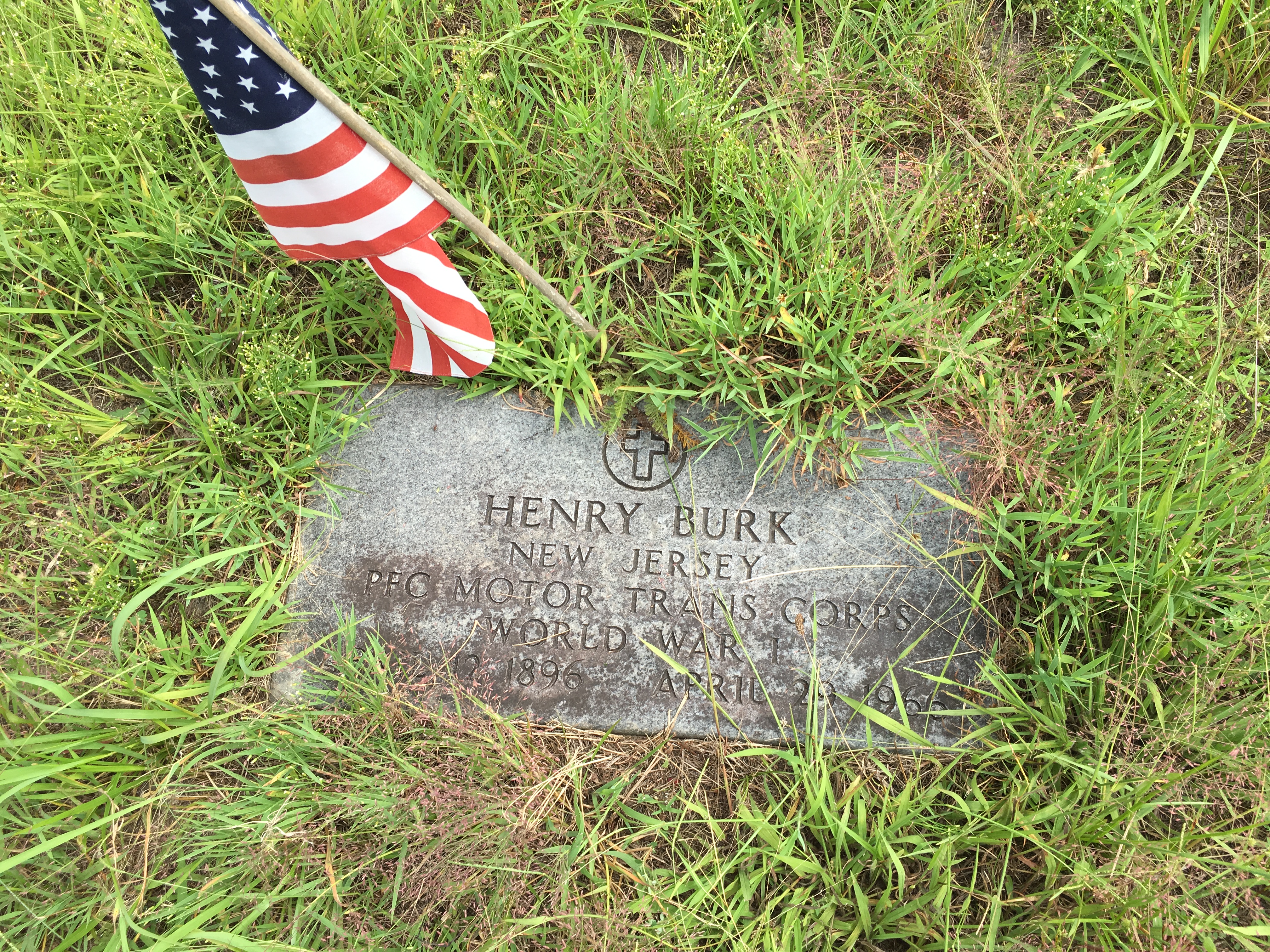 Photographed 16 August 2016.