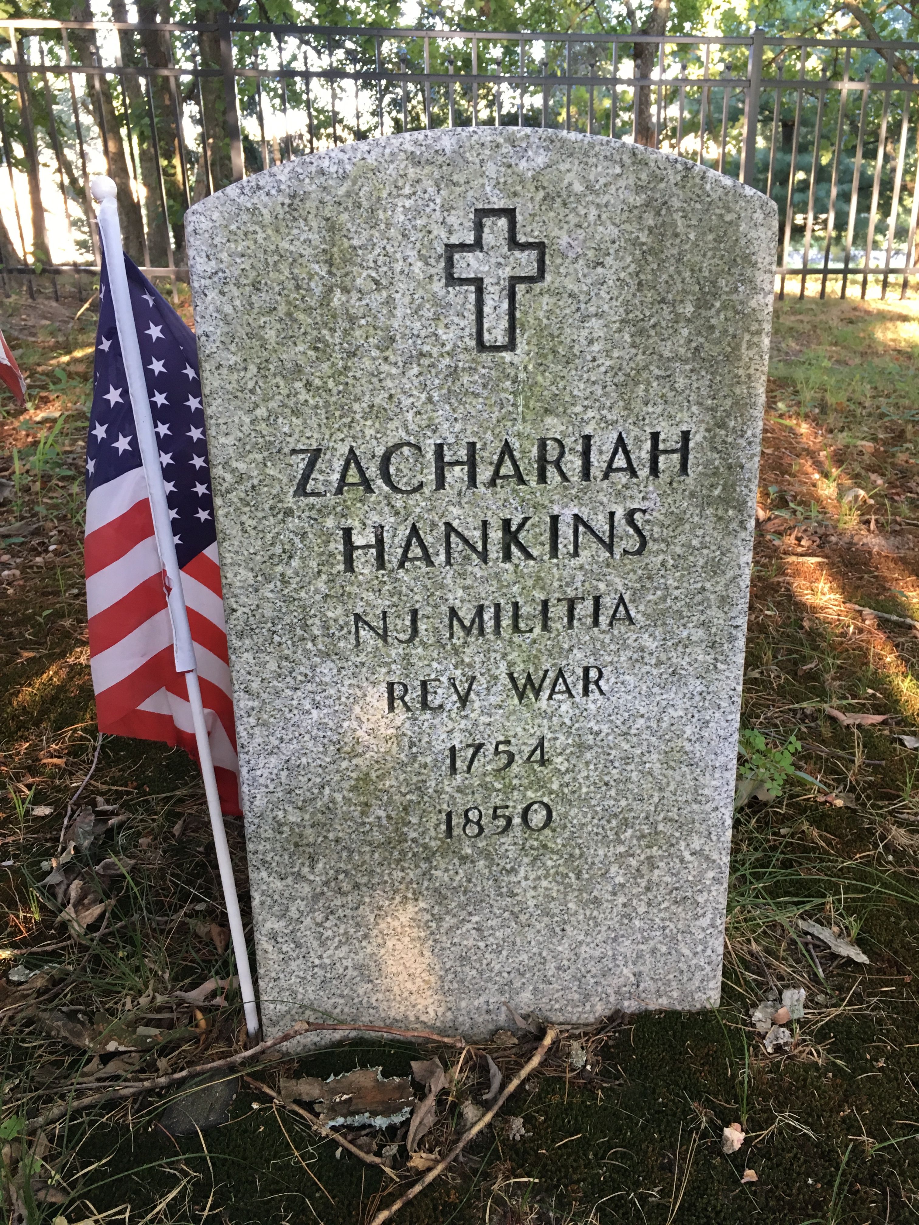 Photographed 17 August 2016.