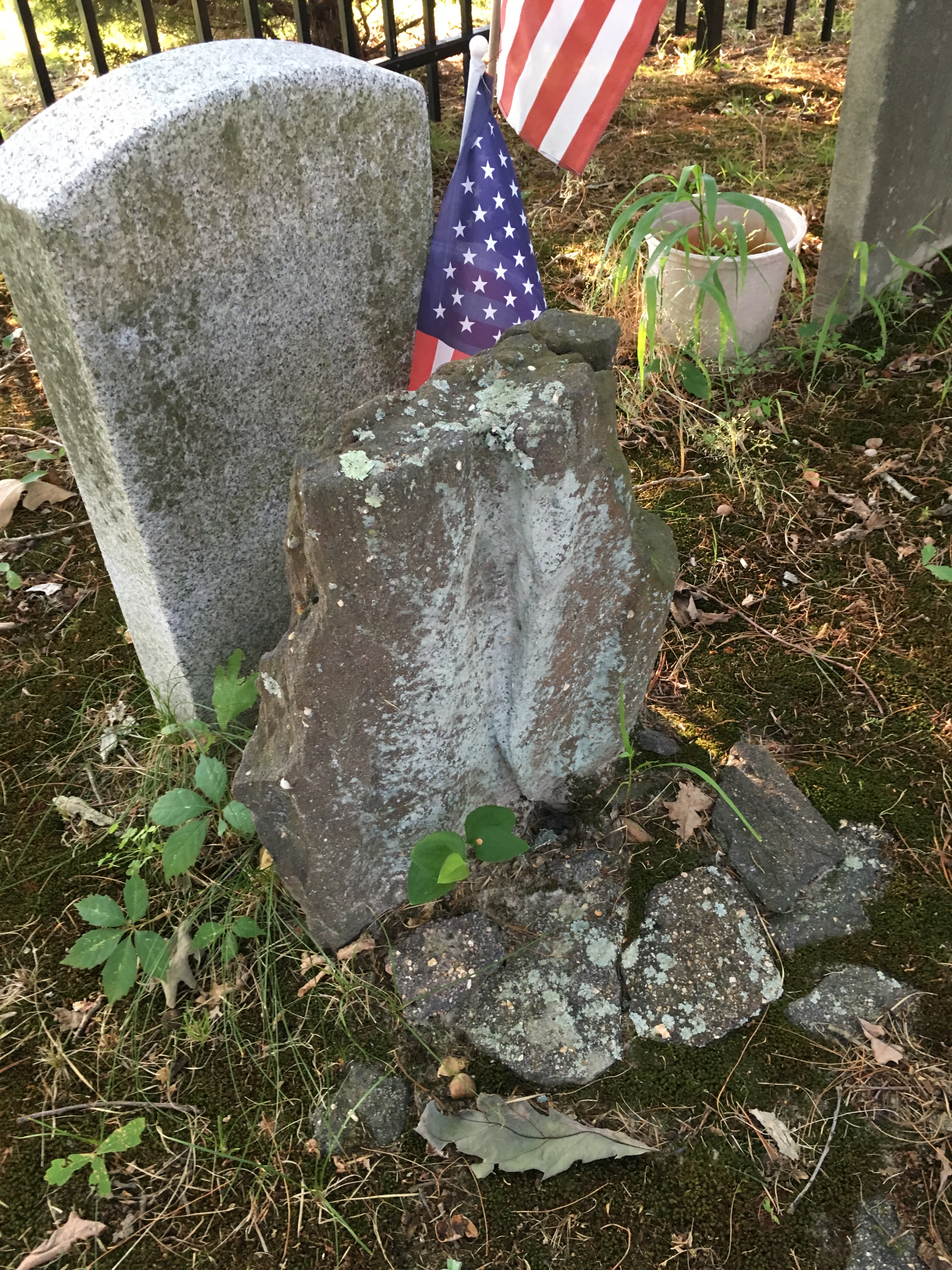 Photographed 17 August 2016.