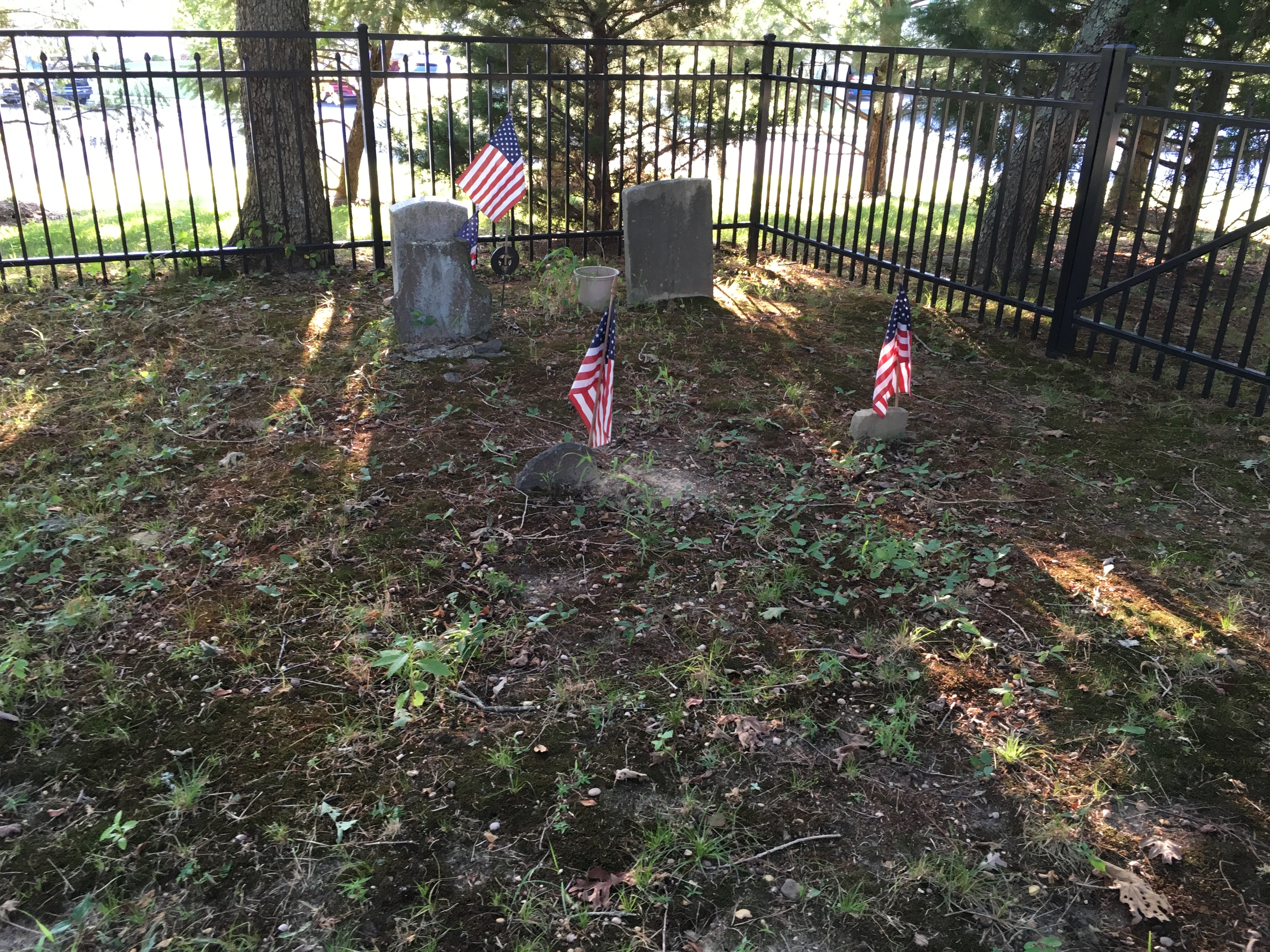 Photographed 17 August 2016.