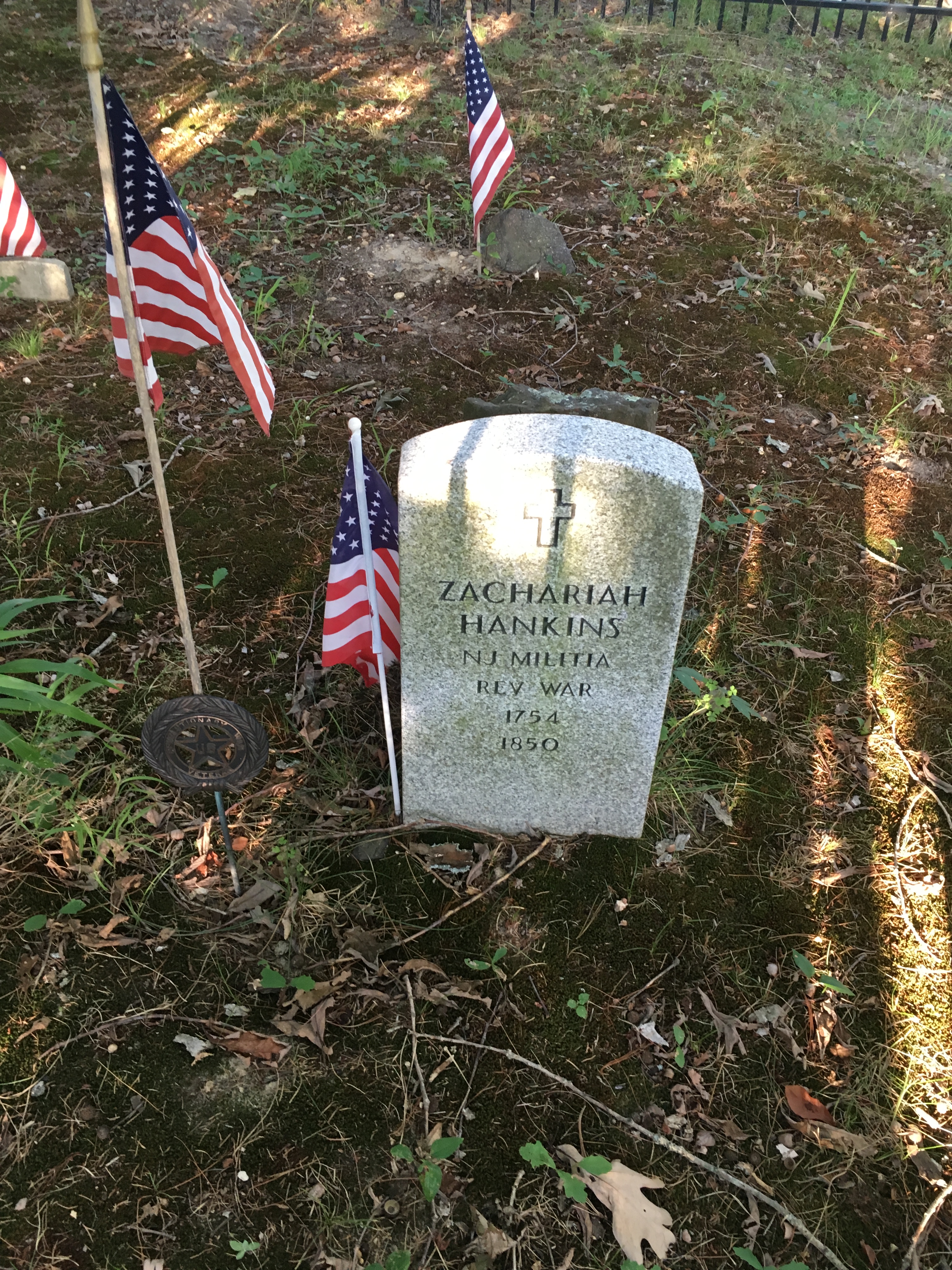 Photographed 17 August 2016.