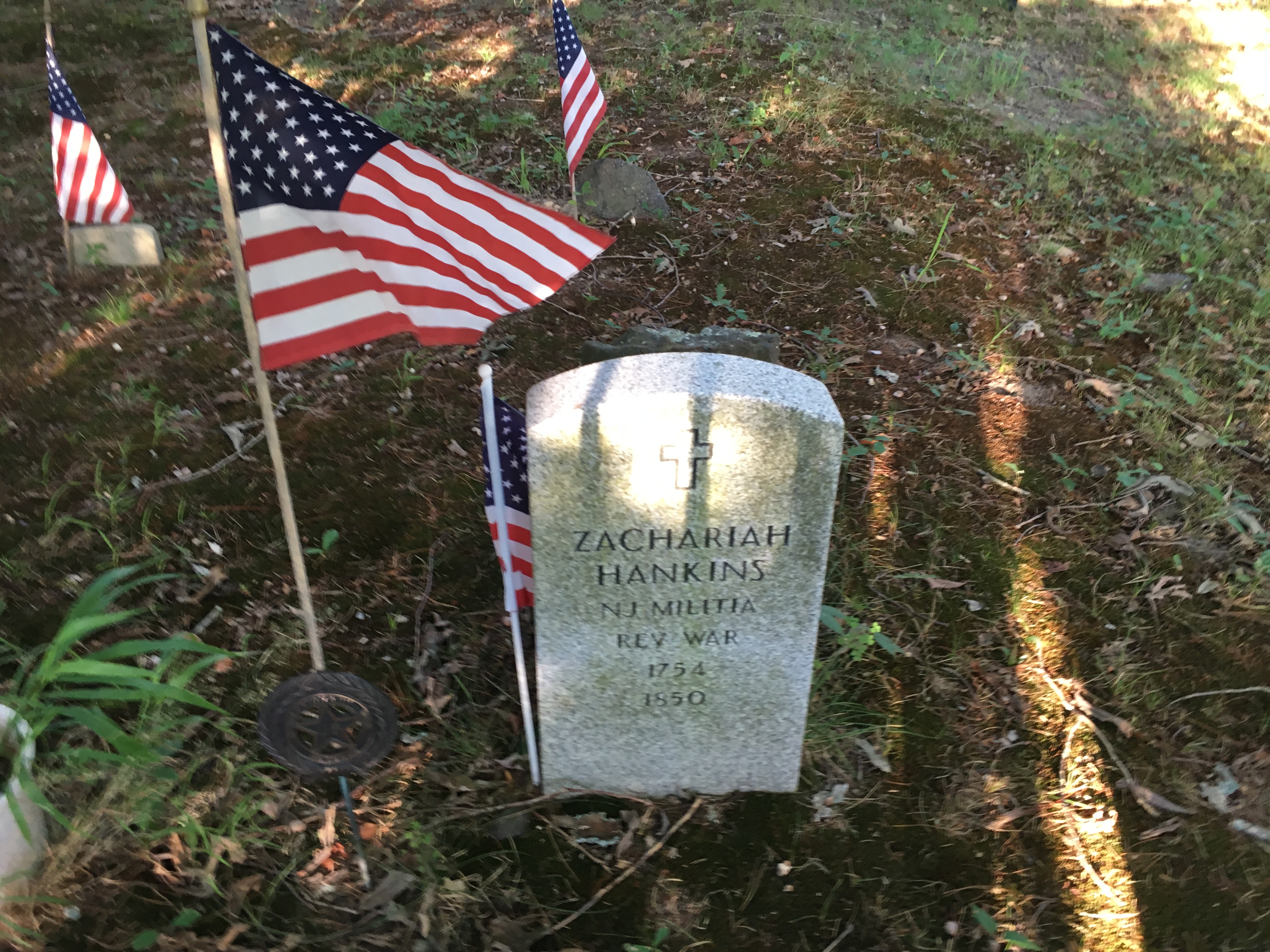 Photographed 17 August 2016.