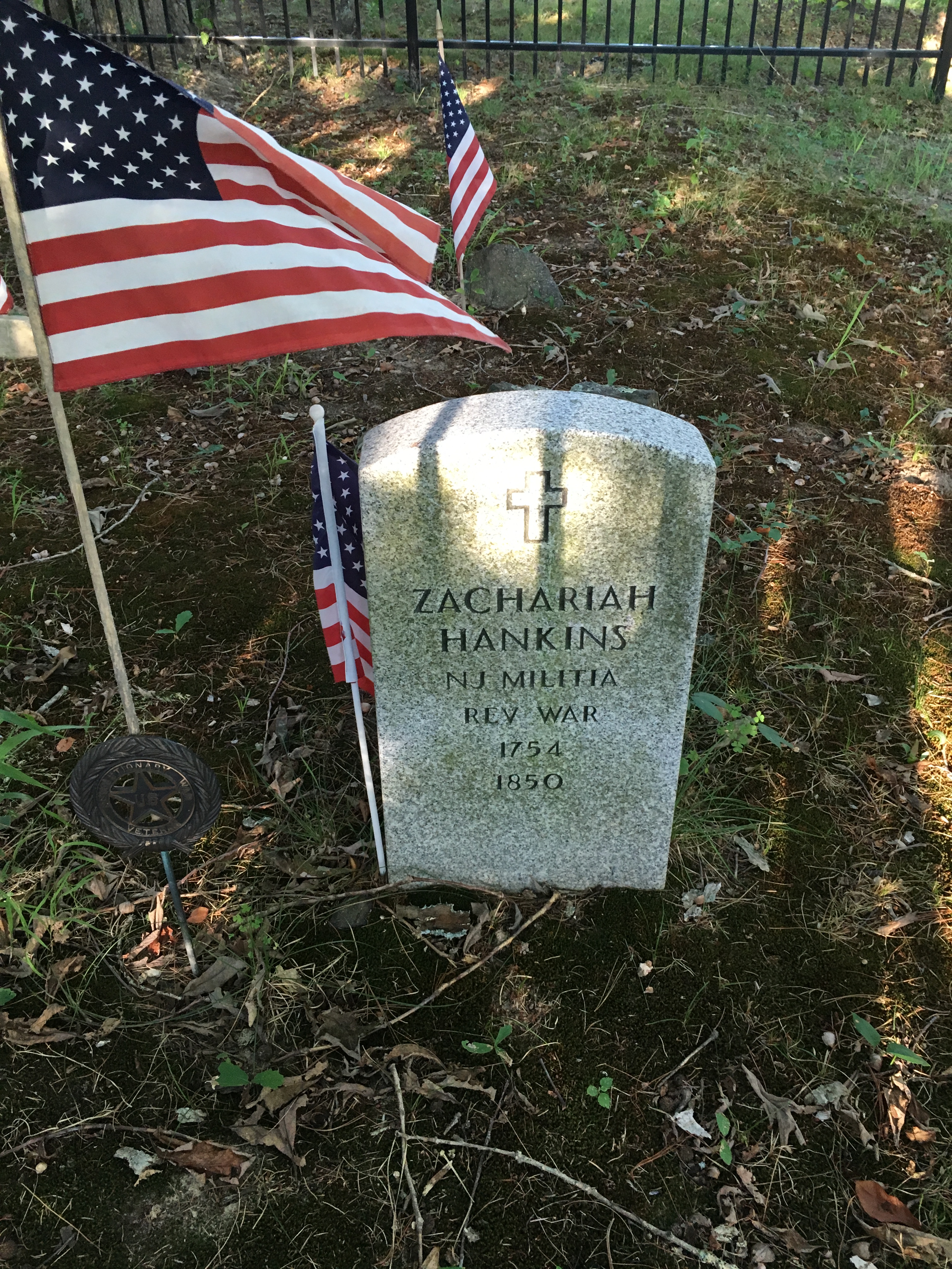 Photographed 17 August 2016.