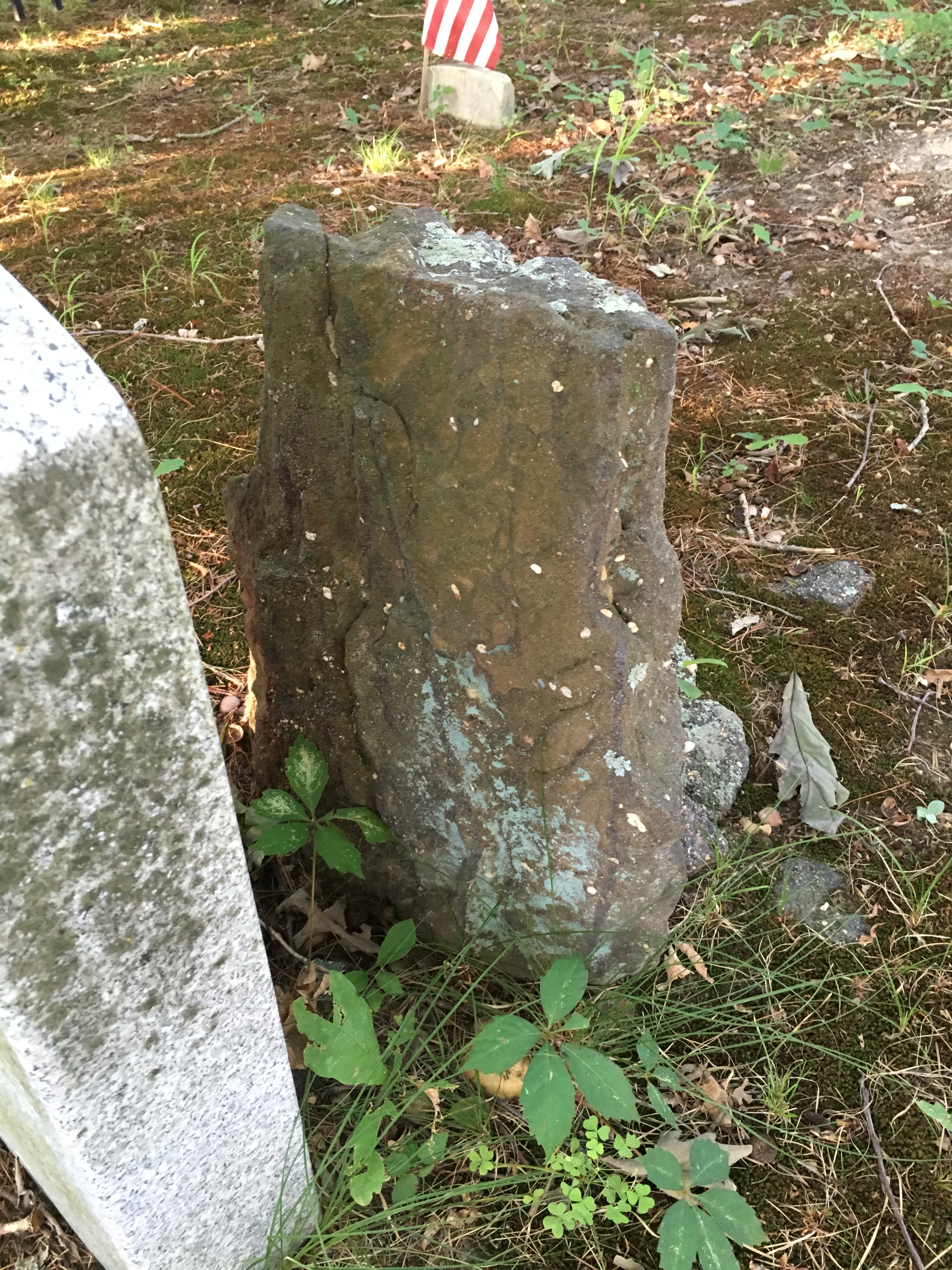 Photographed 17 August 2016.