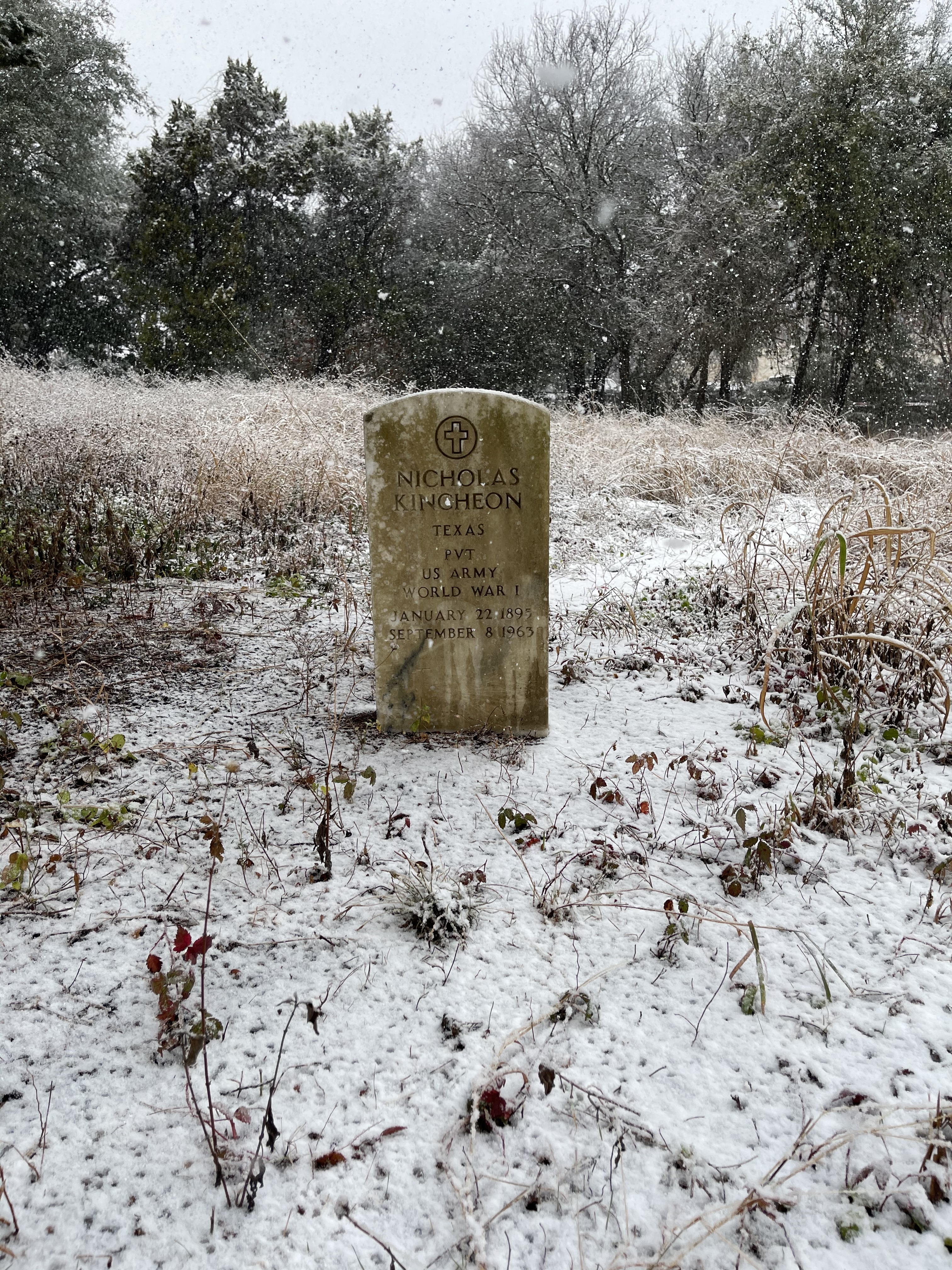 Photographed 10 January 2021.