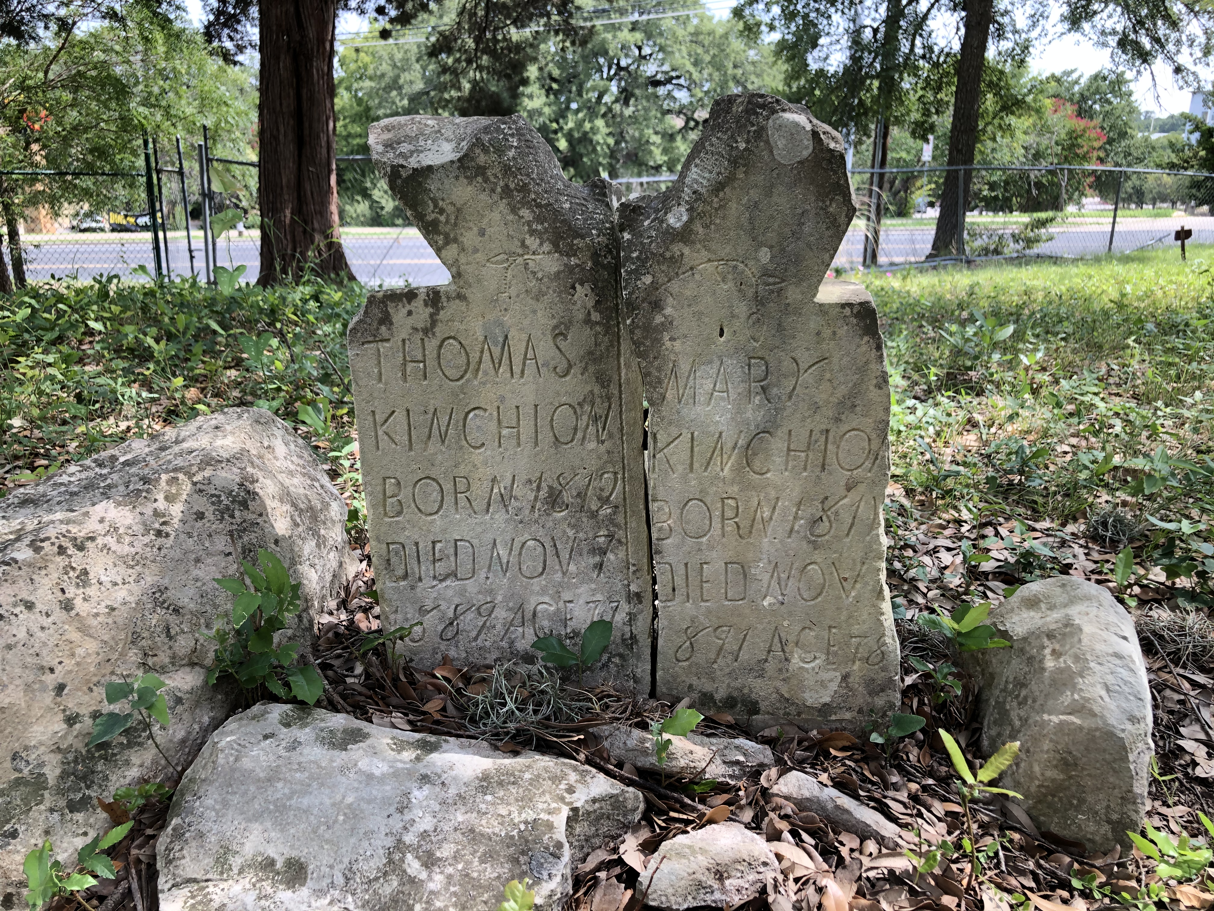 Photographed 07 July 2020.