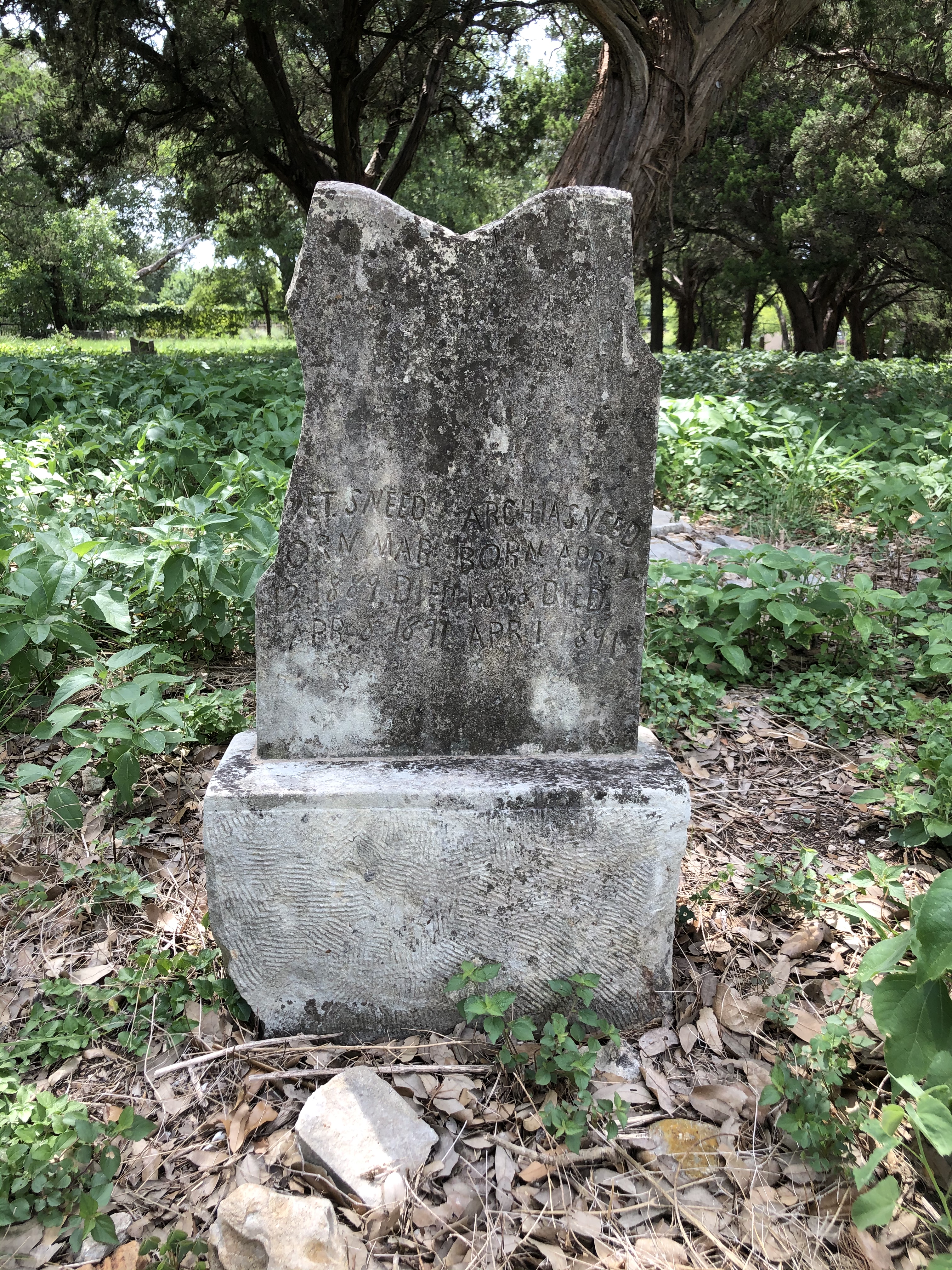 Photographed 07 July 2020.