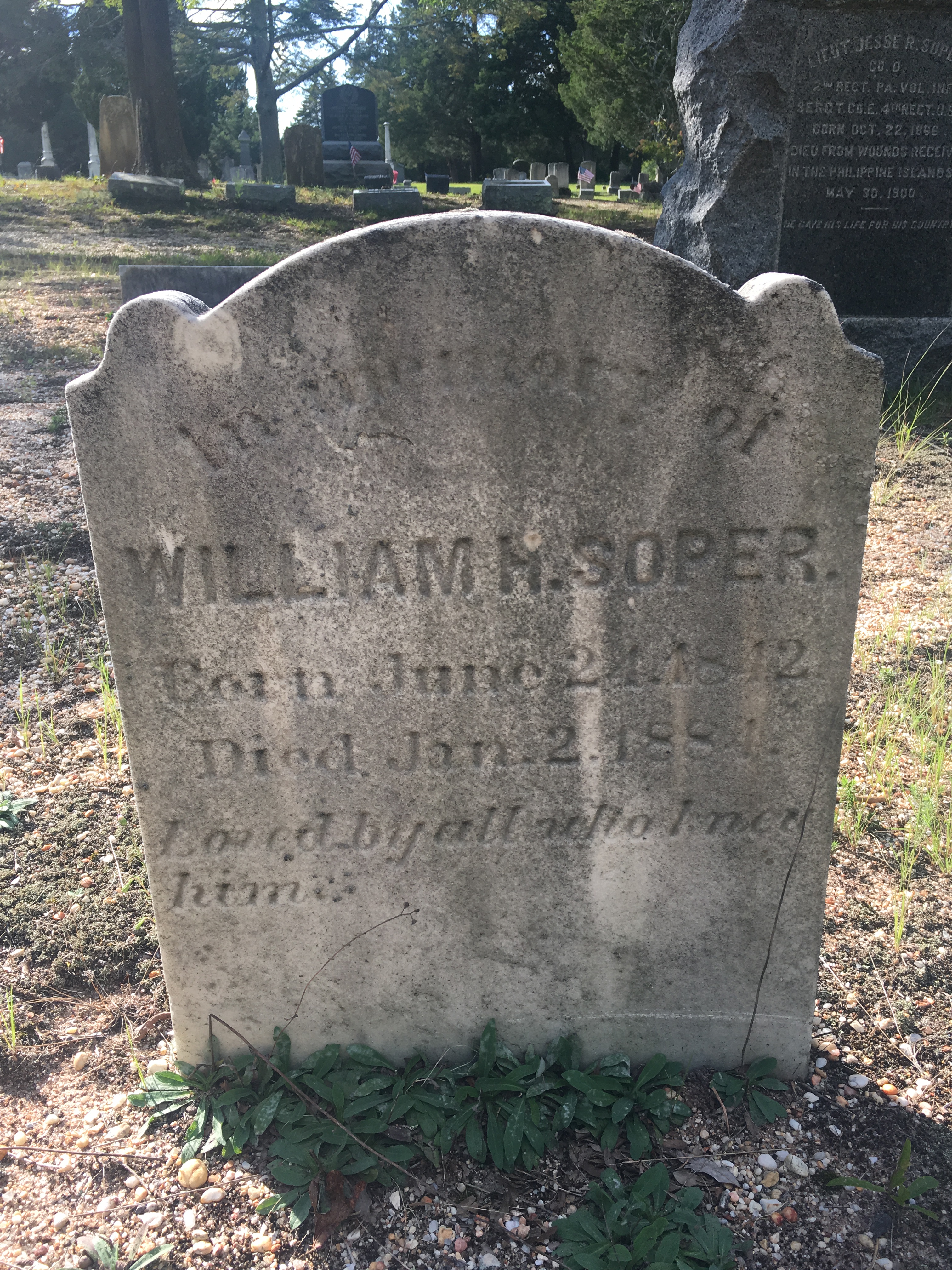 Photographed 09 September 2017.