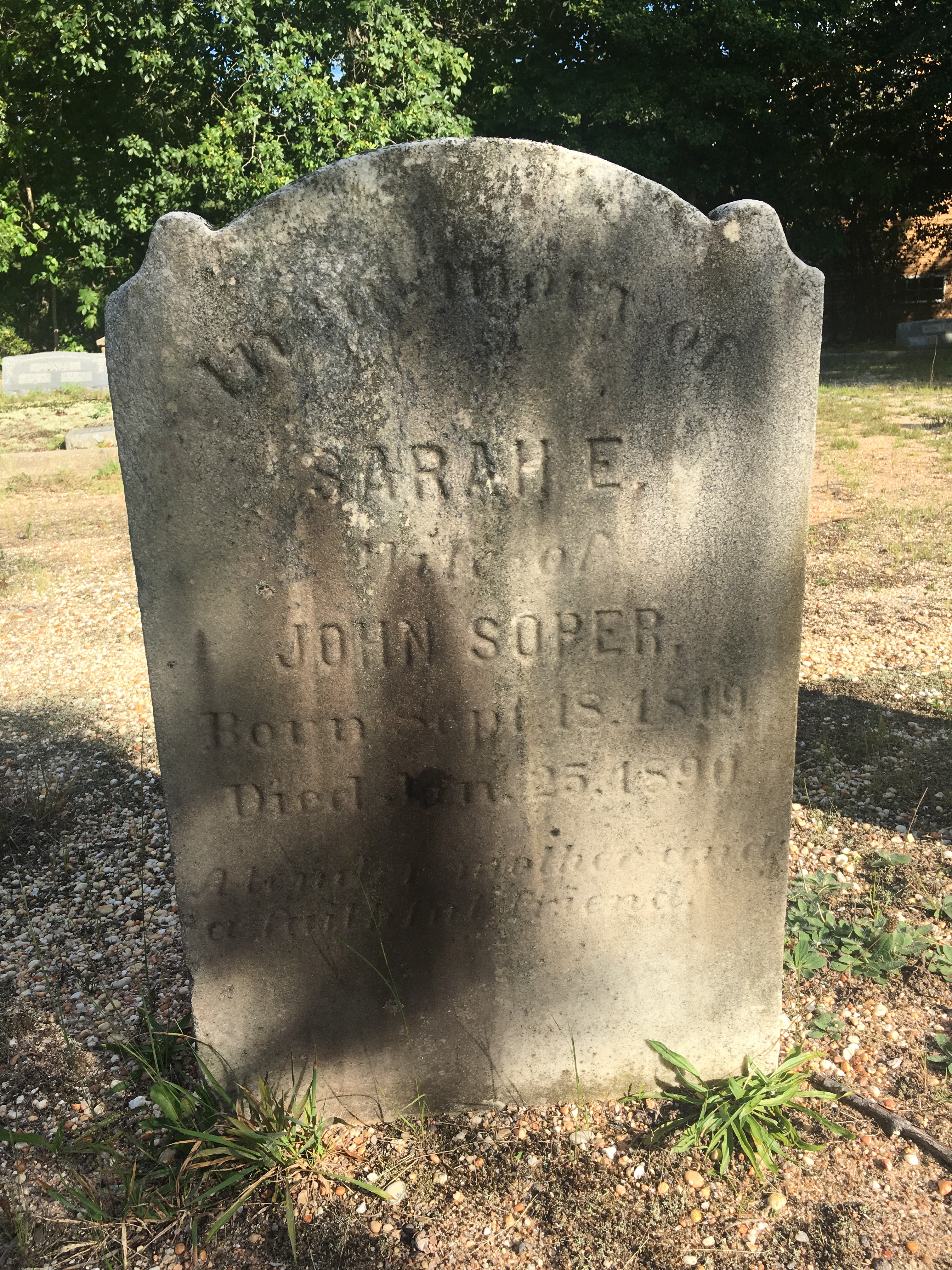 Photographed 09 September 2017.