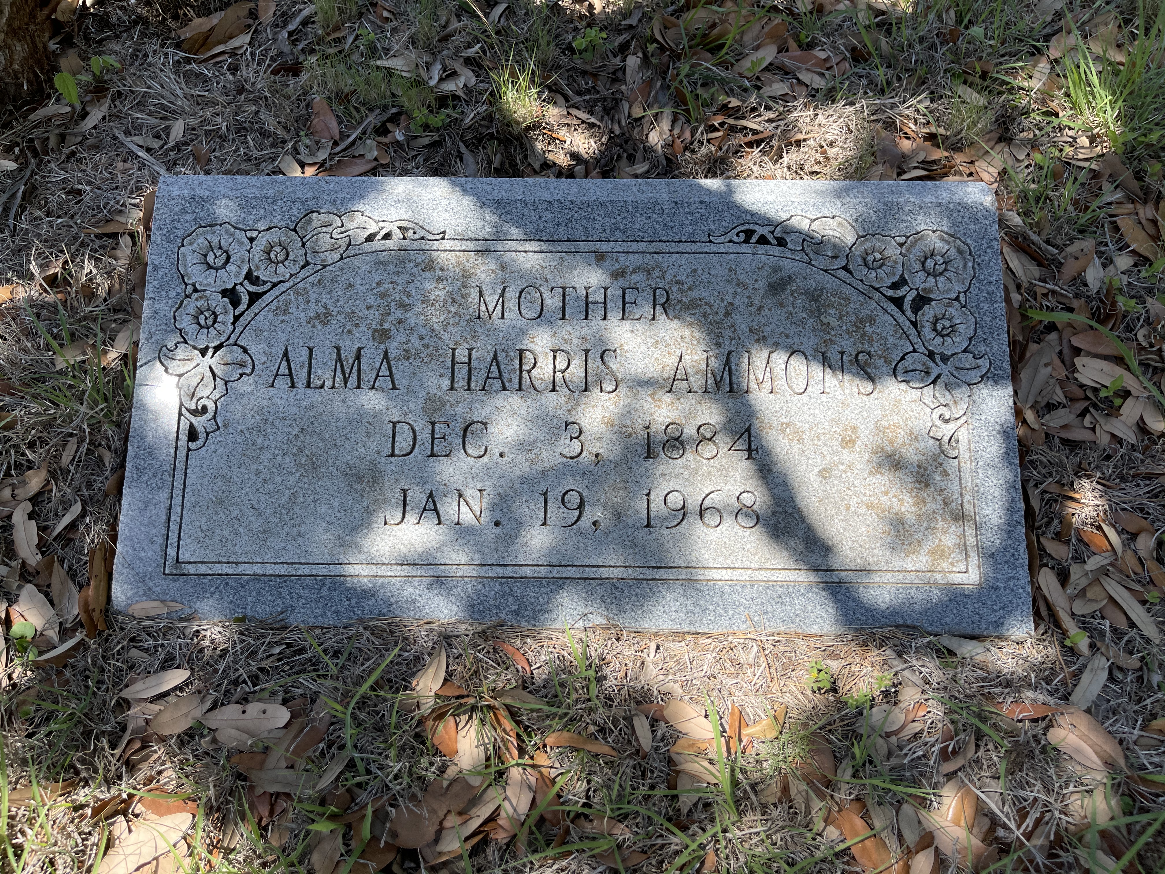 Photographed 01 April 2021.